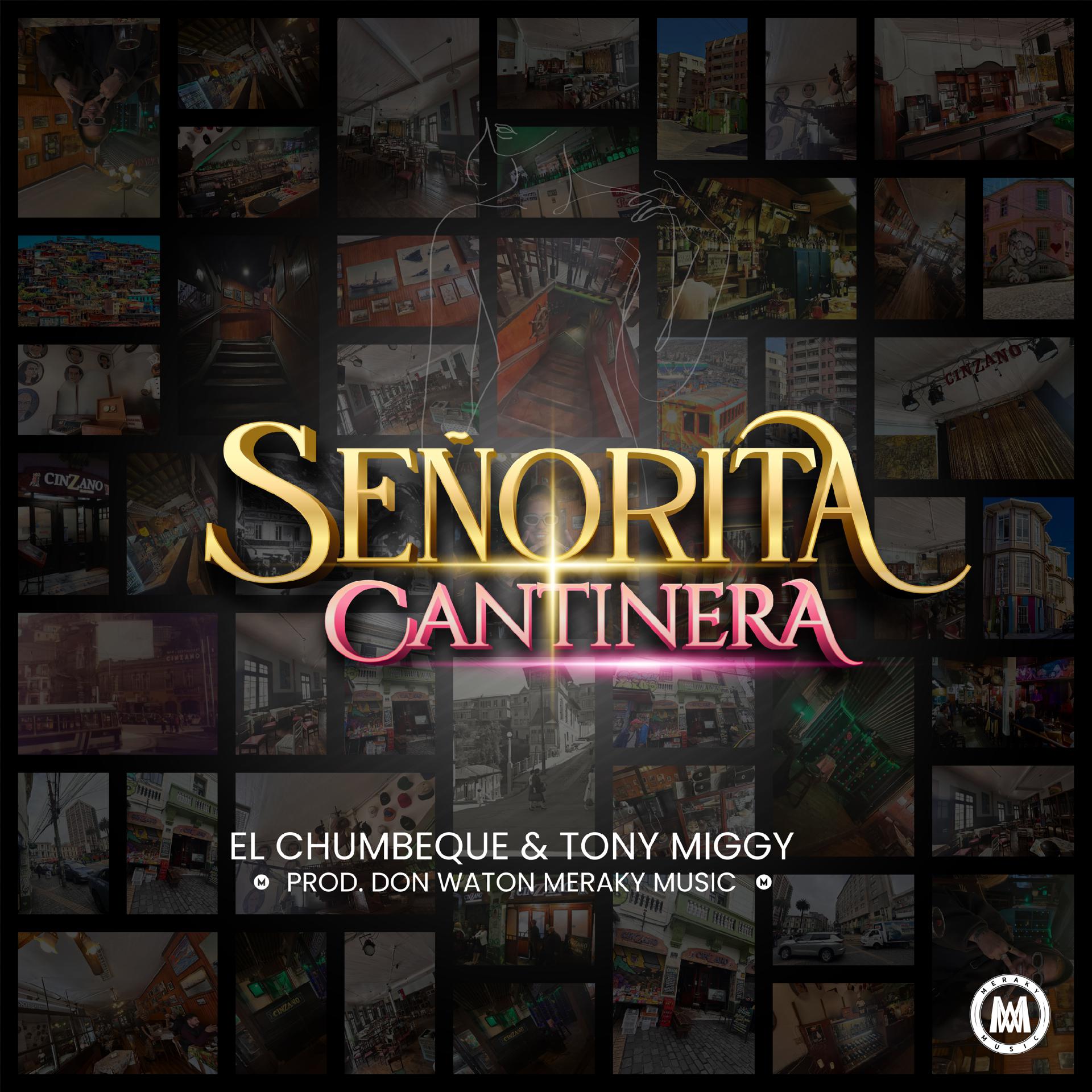 Постер альбома Señorita Cantinera
