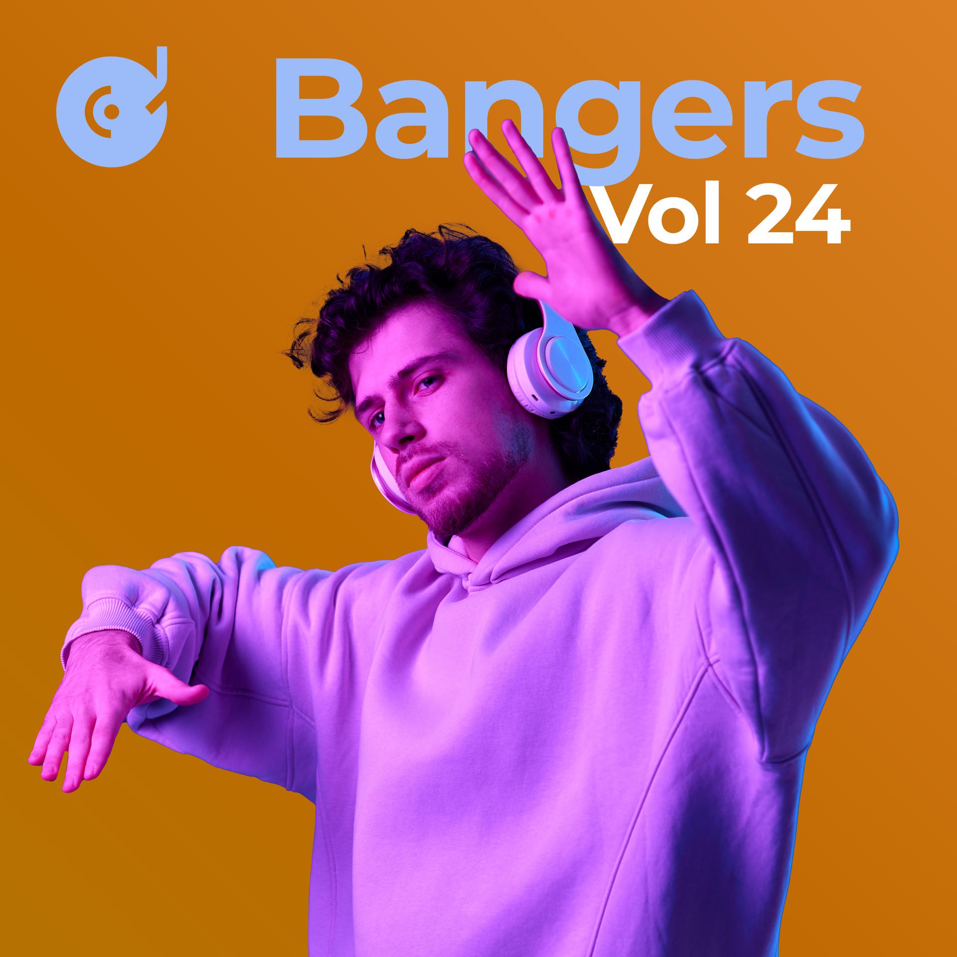 Постер альбома Bangers, Vol. 24