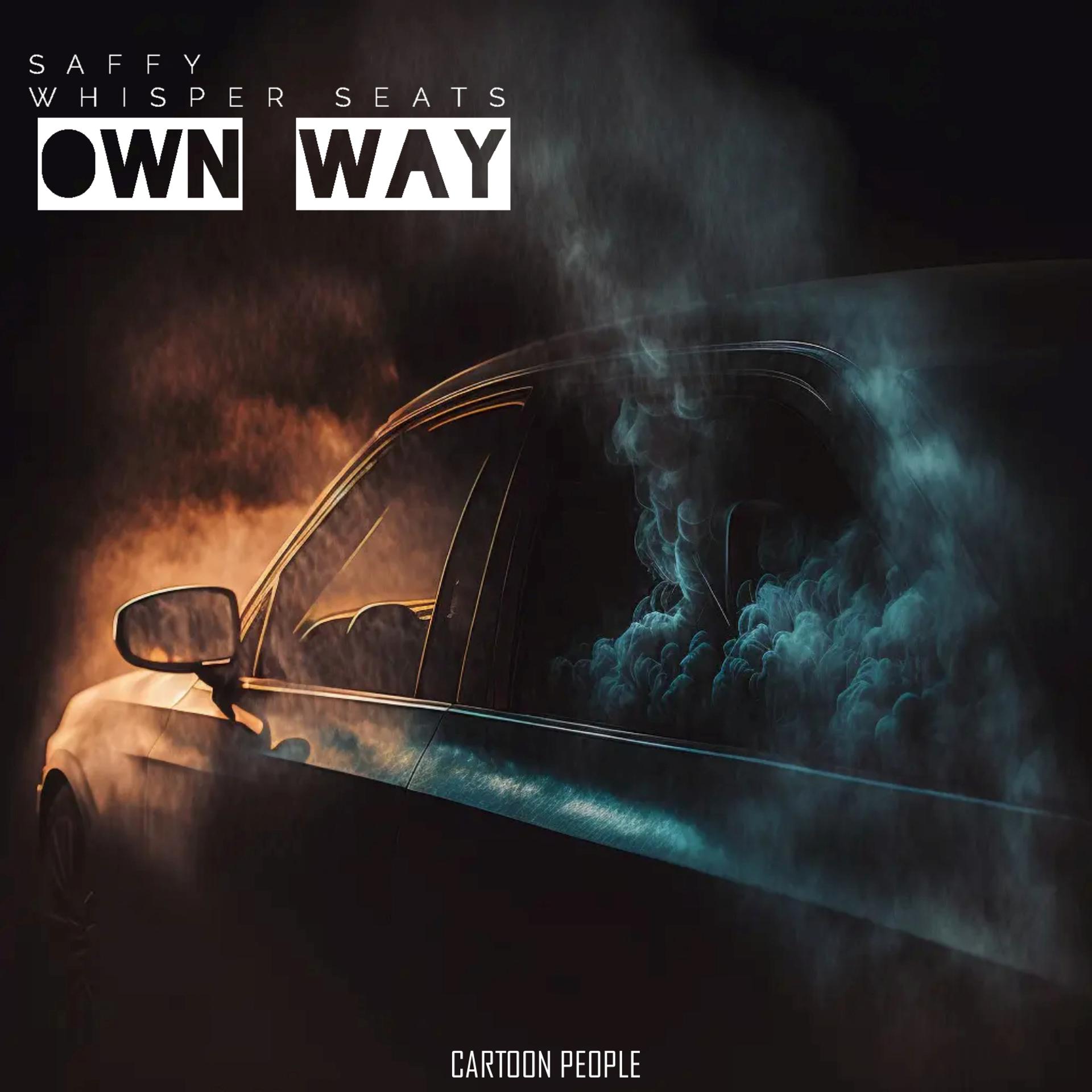 Постер альбома Own Way