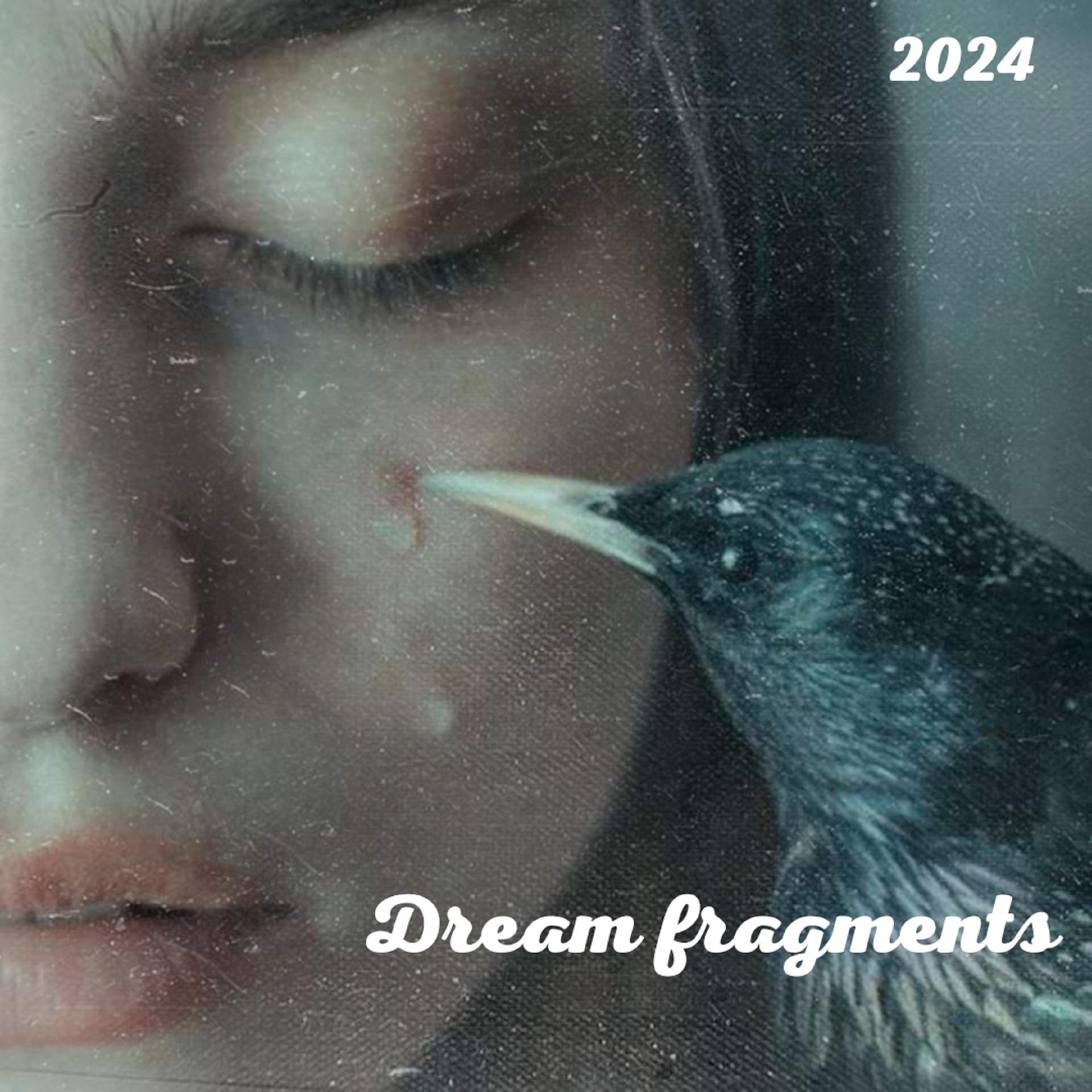 Постер альбома Dream fragments