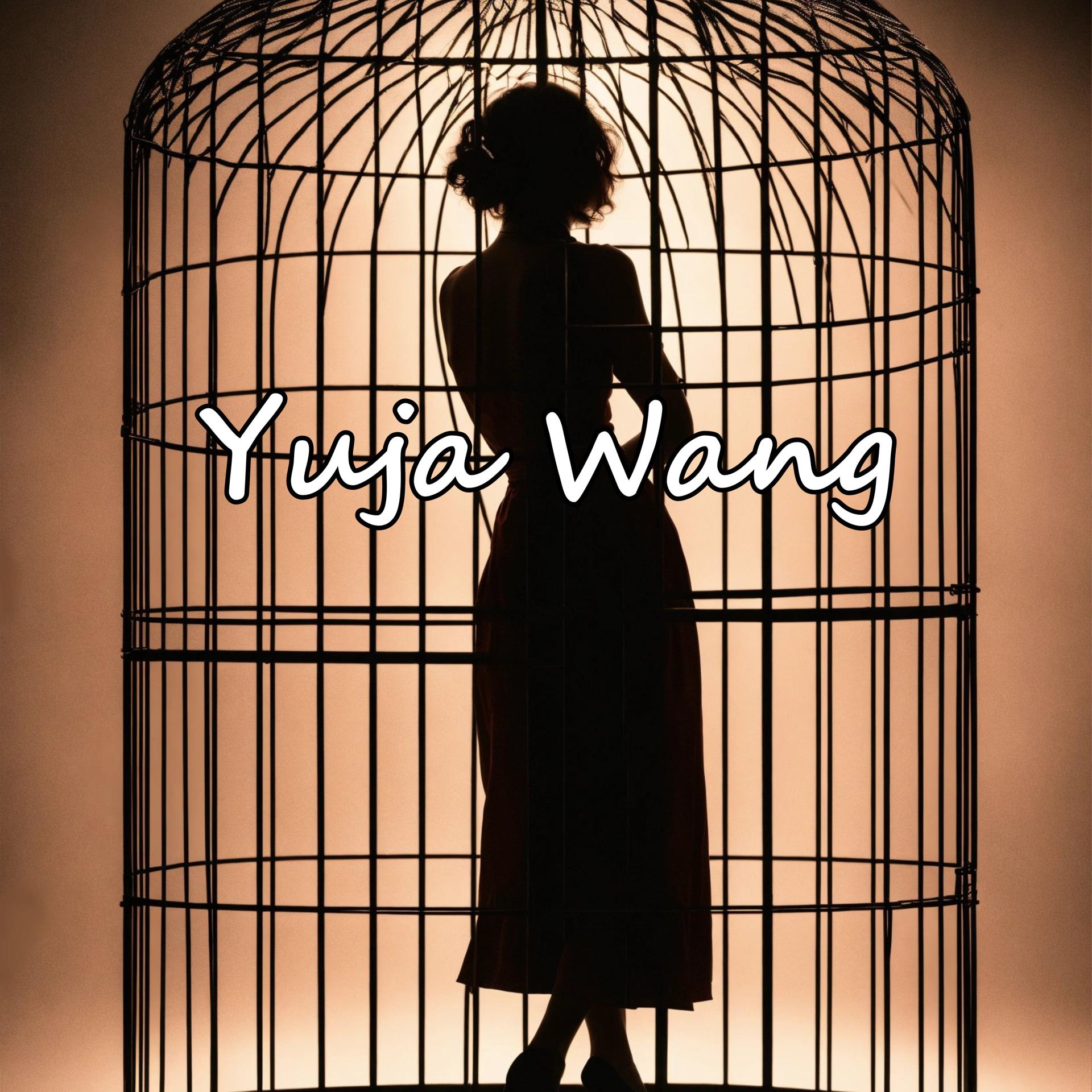 Постер альбома Yuja Wang