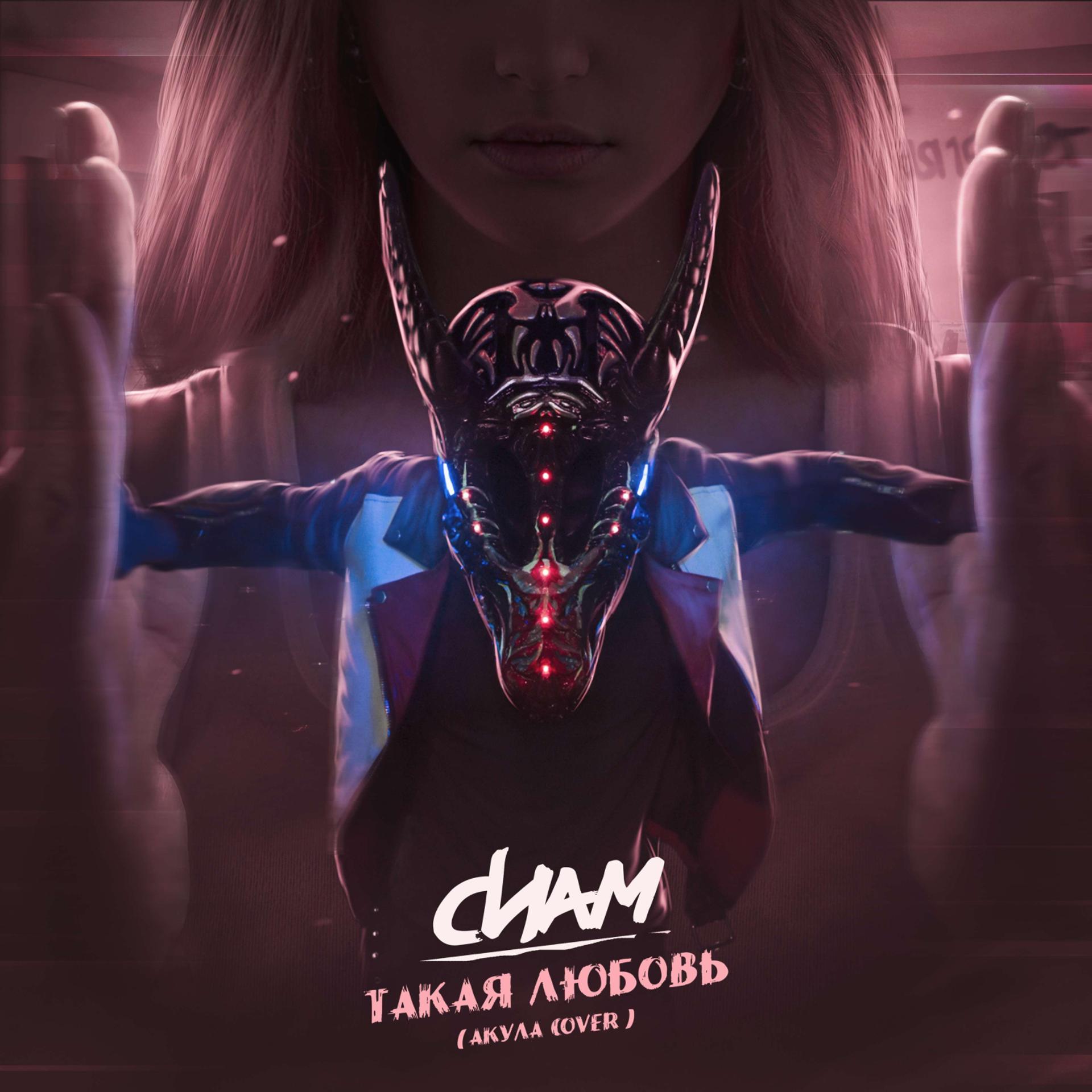 Постер альбома Такая любовь (Акула cover)