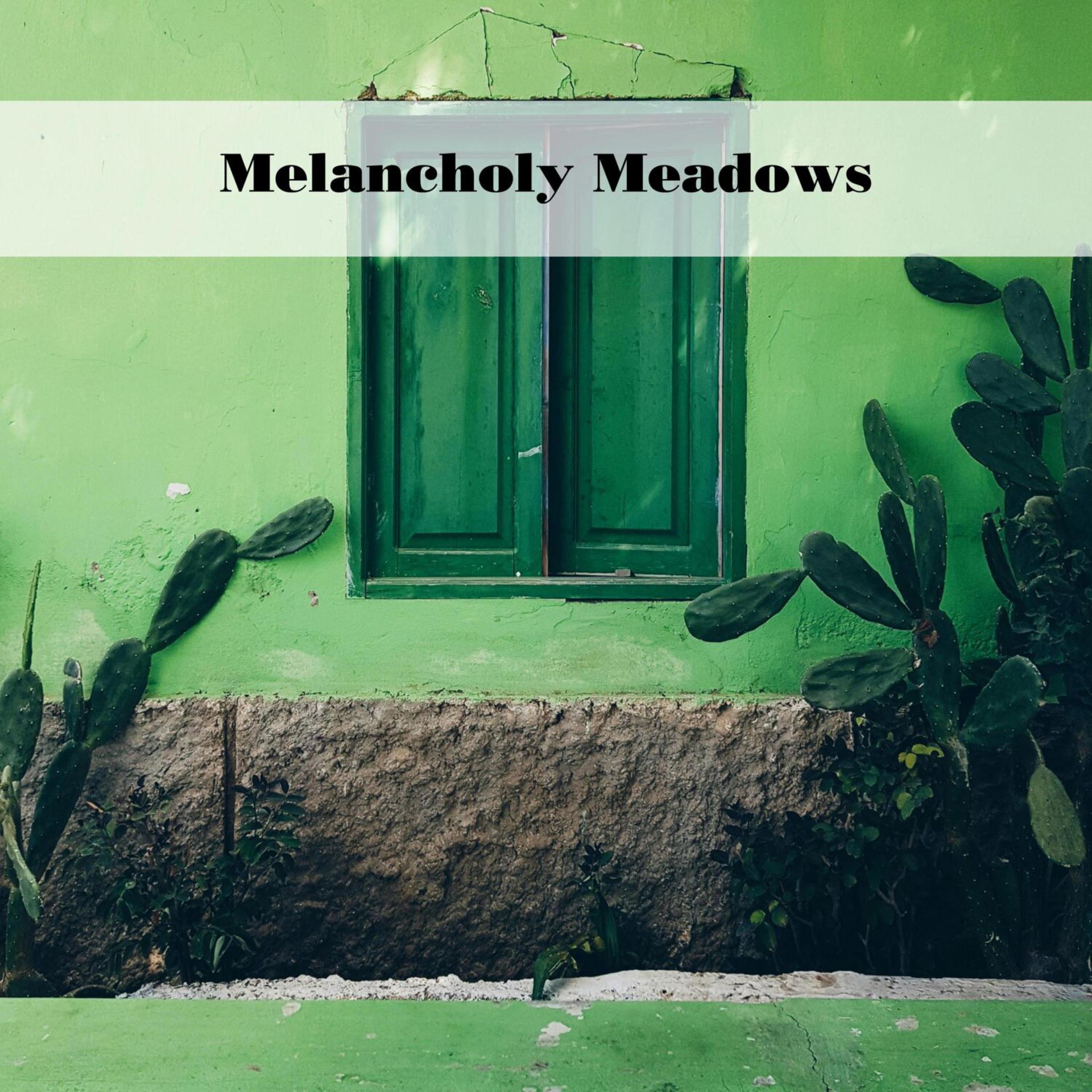 Постер альбома Melancholy Meadows