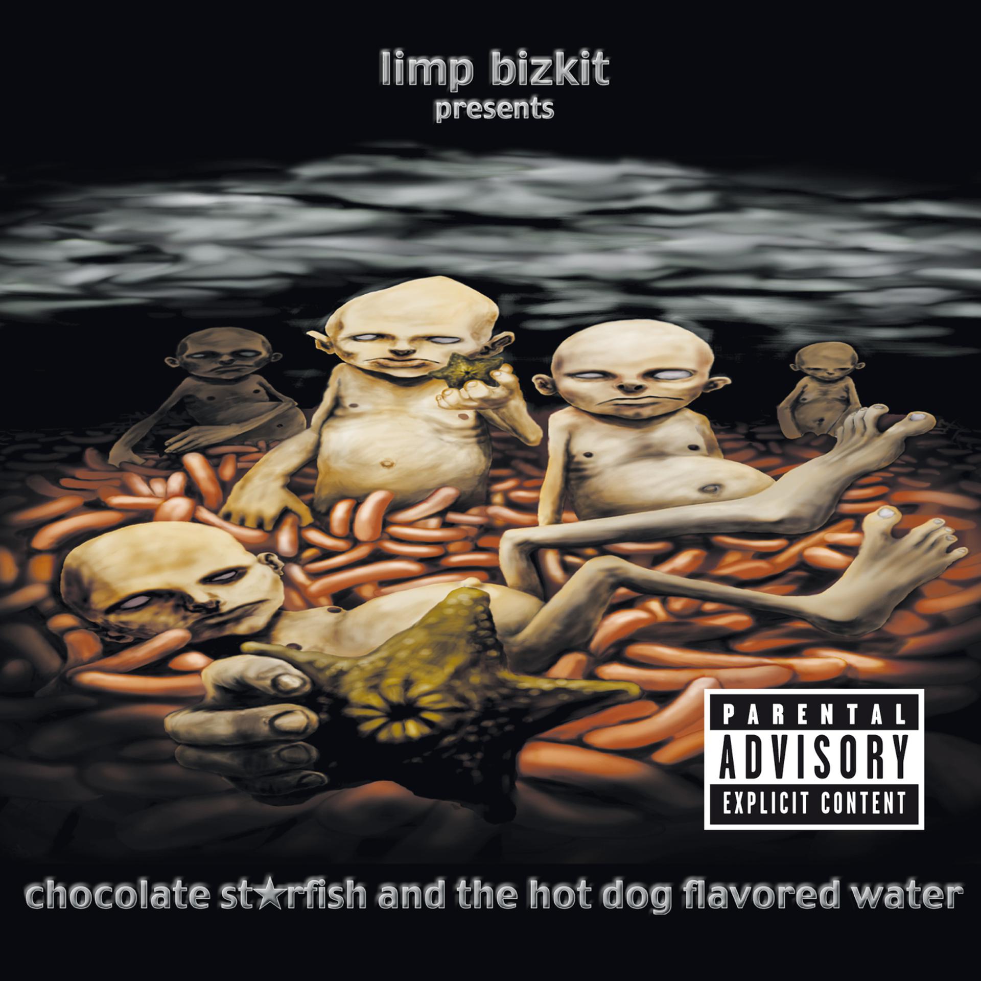 Постер альбома Chocolate Starfish And The Hot Dog Flavored Water