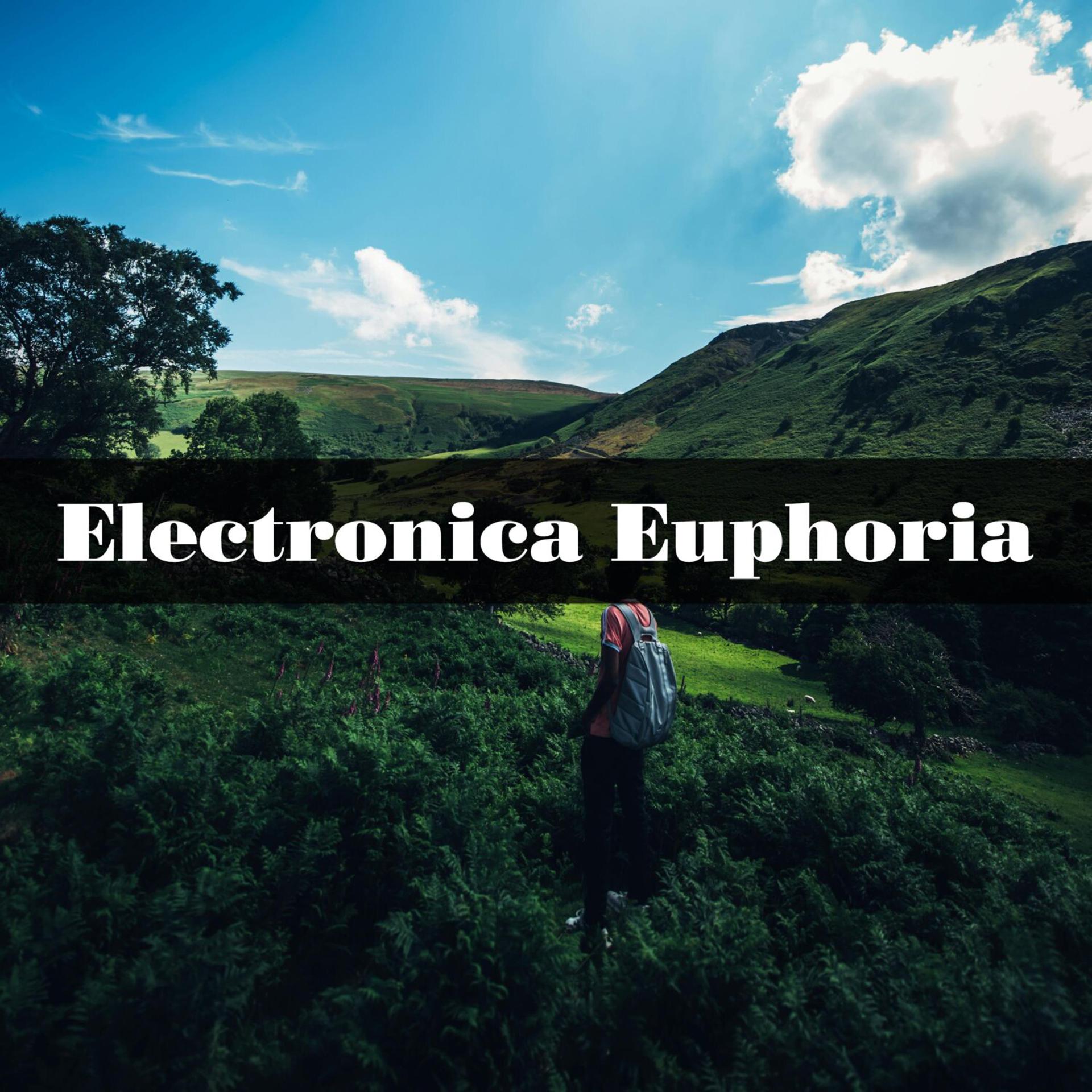 Постер альбома Electronica Euphoria