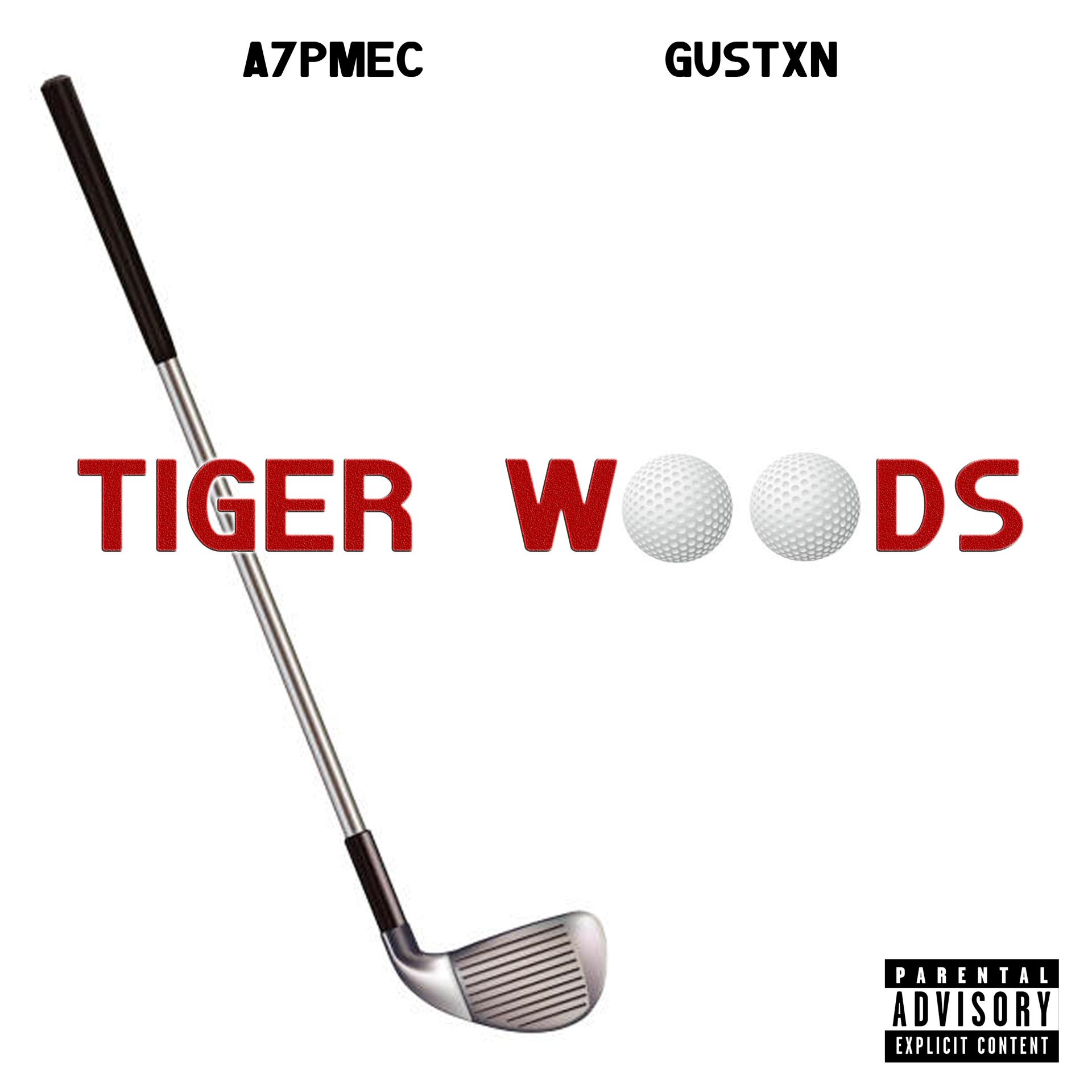 Постер альбома Tiger Woods