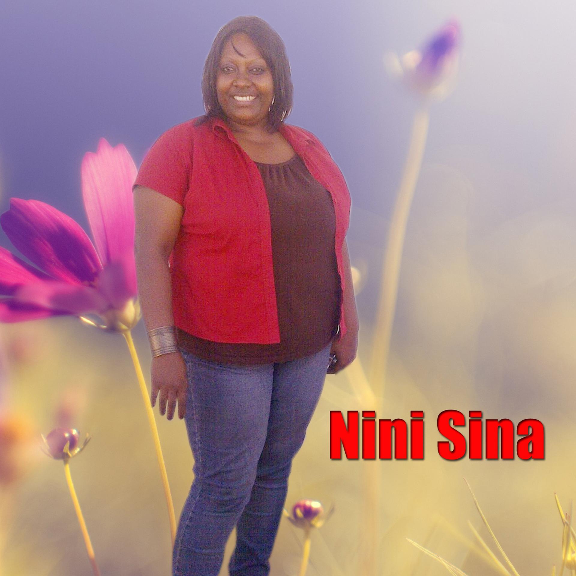 Постер альбома Nini Sina