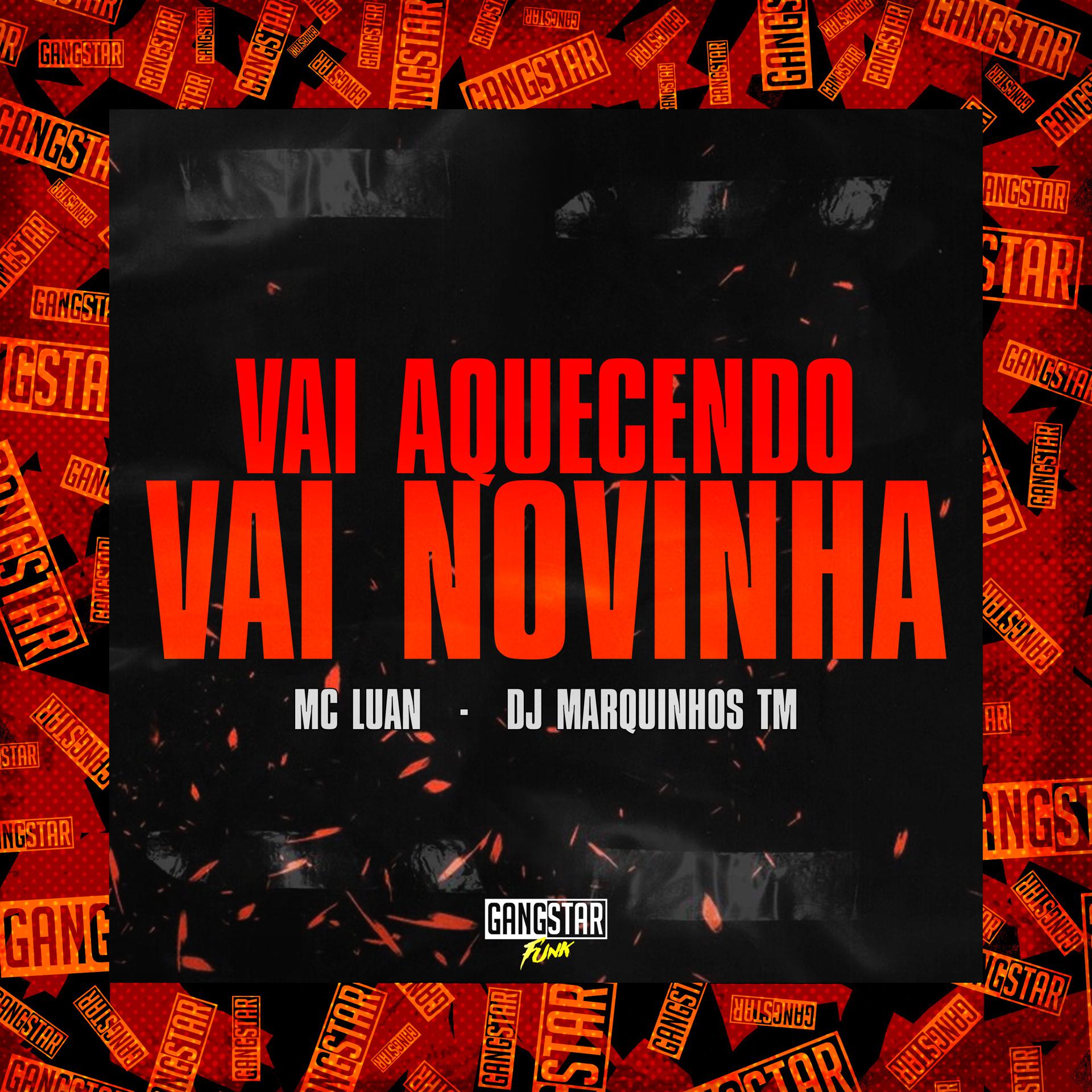 Постер альбома Vai Aquecendo, Vai Novinha