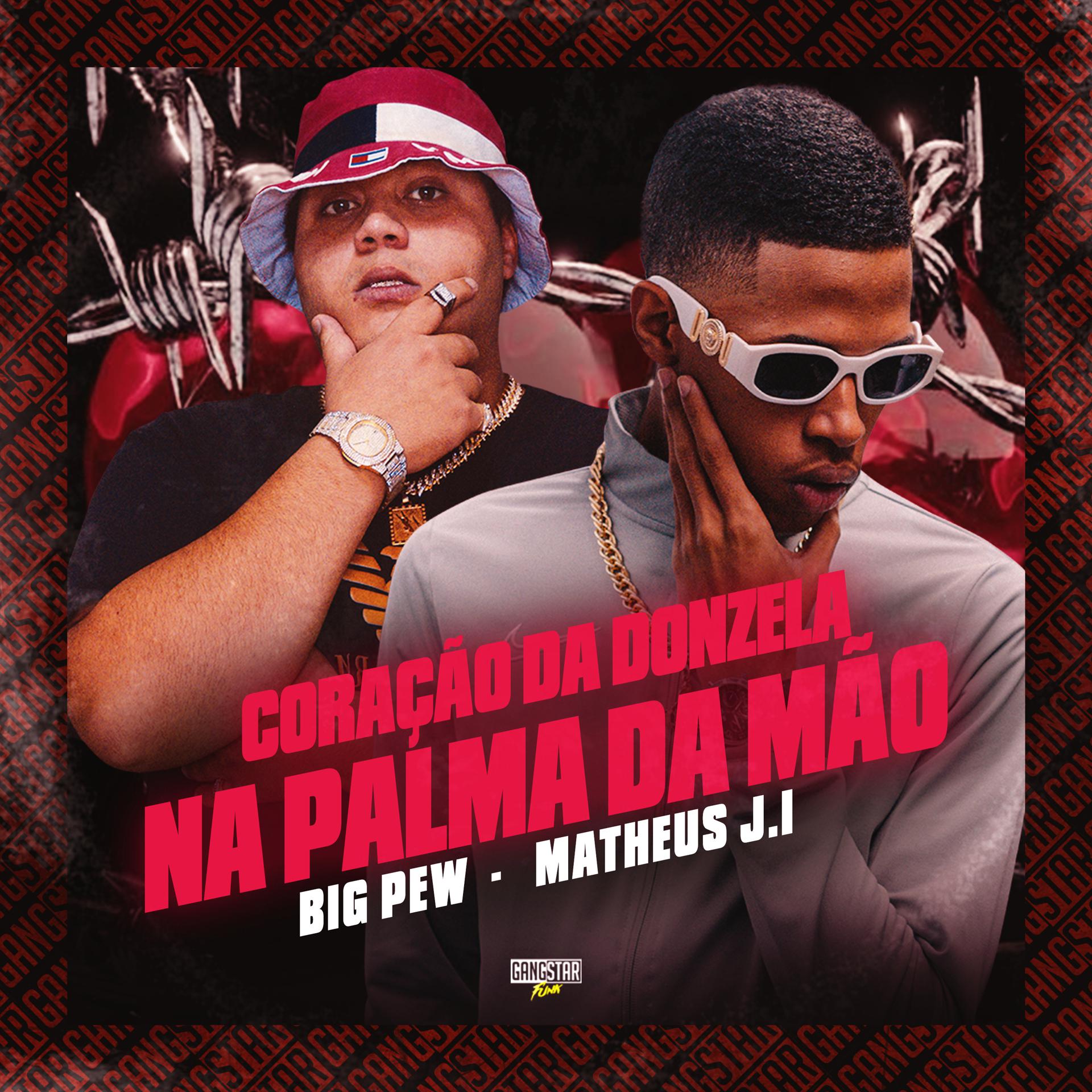 Постер альбома Coração da Donzela na Palma da Mão