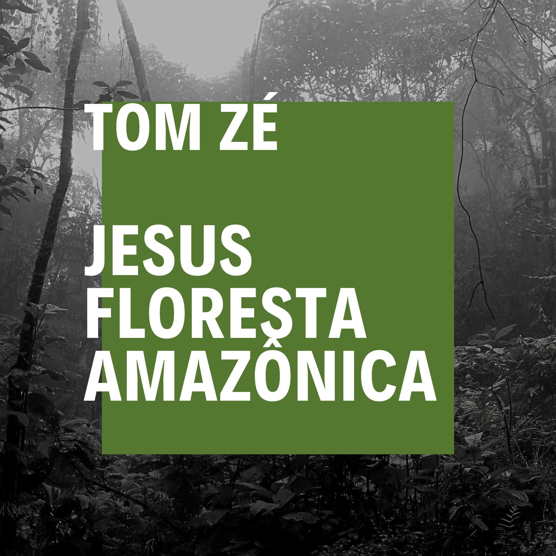 Постер альбома Jesus Floresta Amazônica