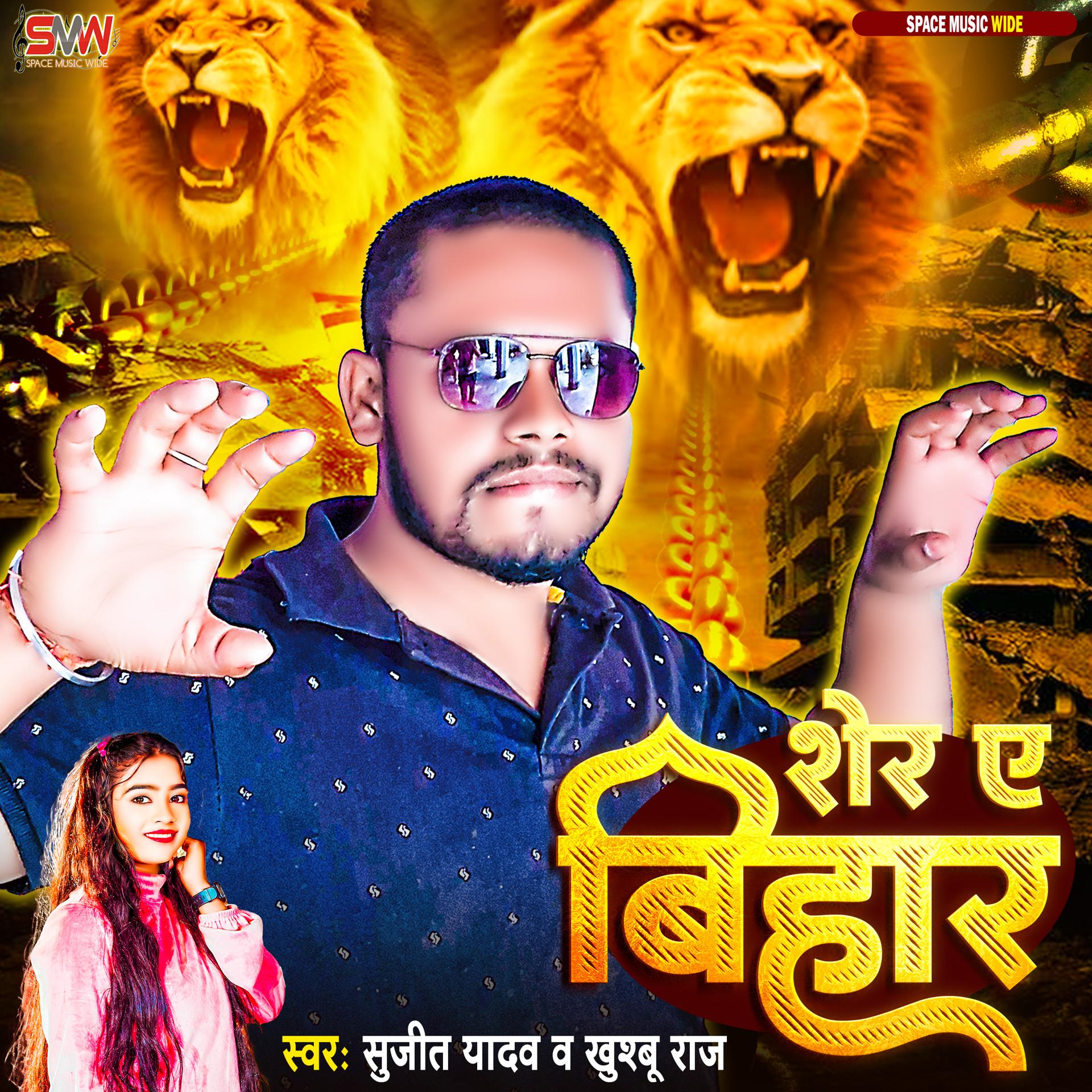 Постер альбома Babbar Sher H Bihar