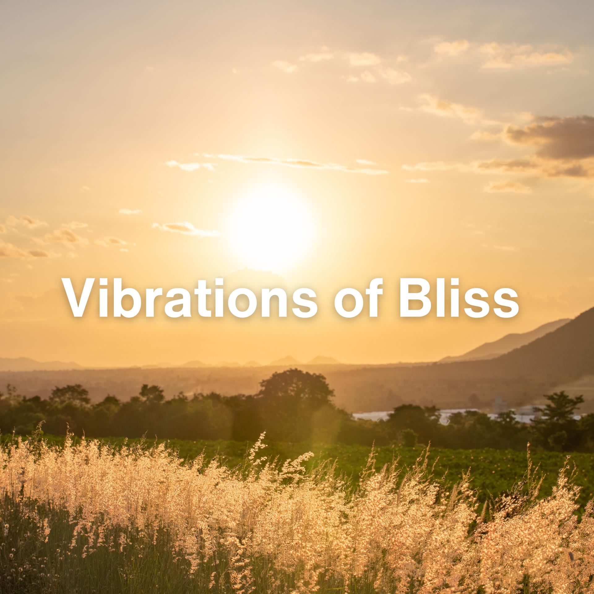 Постер альбома Vibrations of Bliss