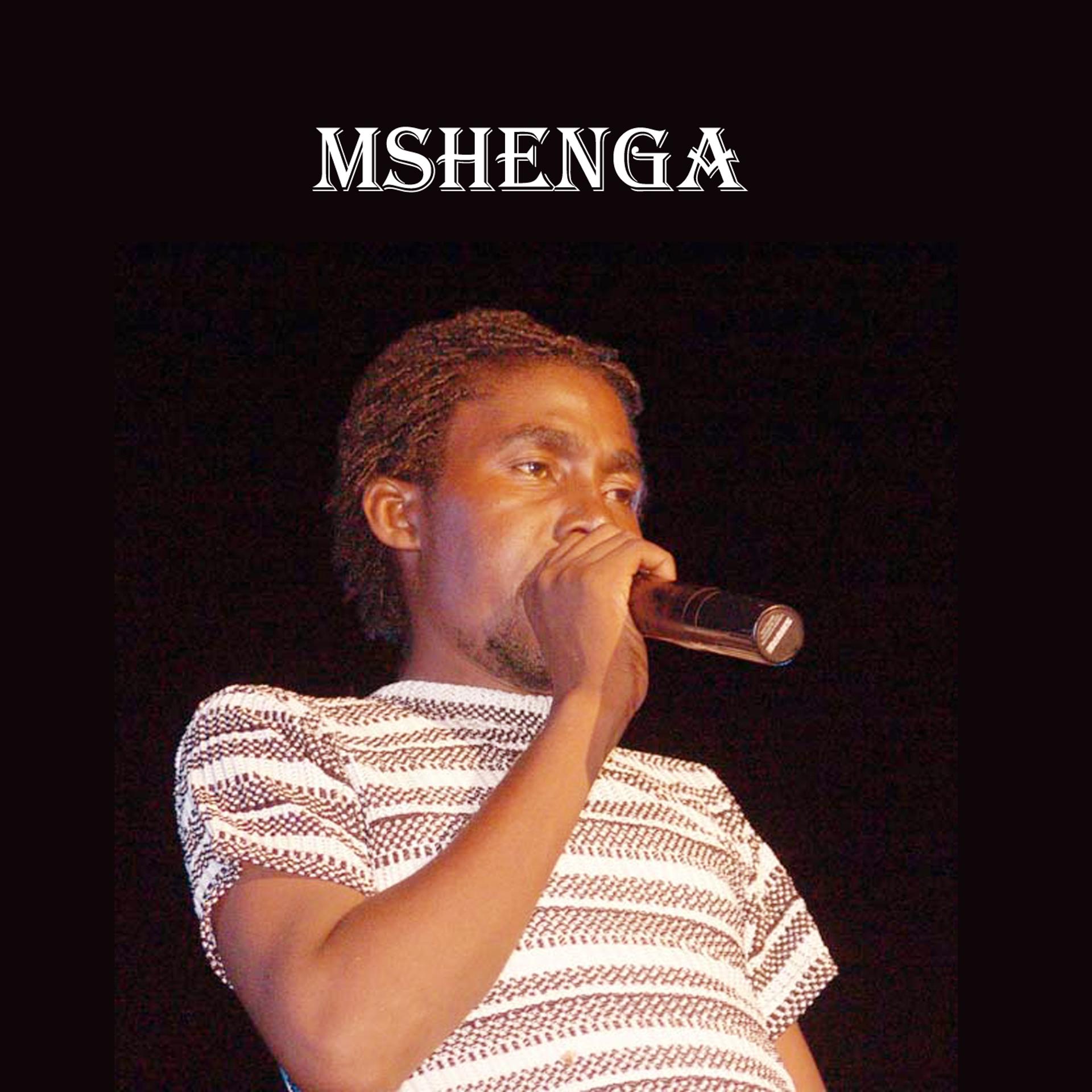 Постер альбома Mshenga