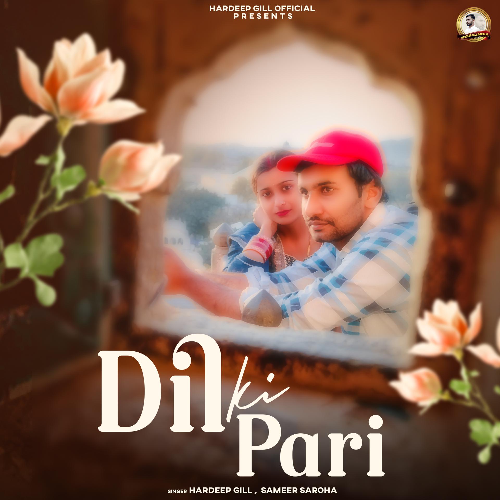 Постер альбома Dil Ki Pari