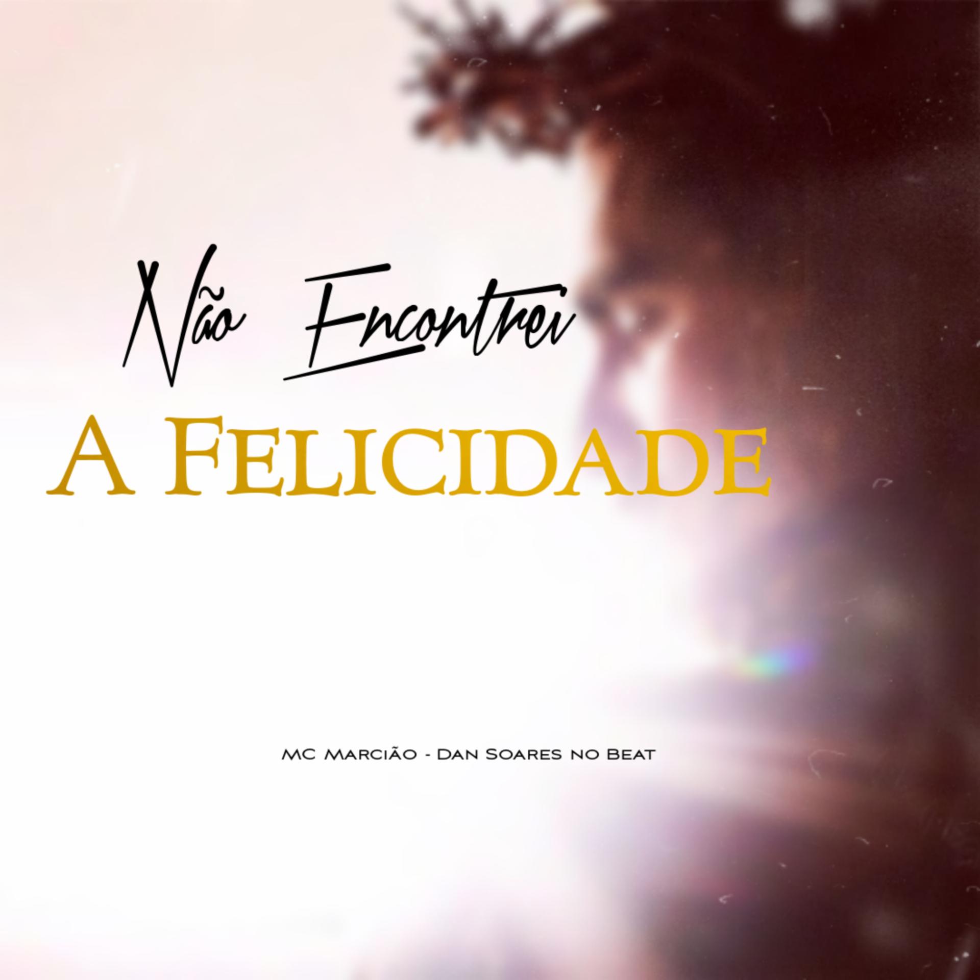 Постер альбома Não Encontrei a Felicidade