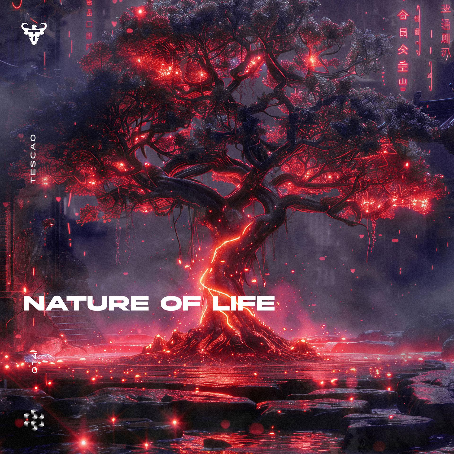 Постер альбома Nature Of Life