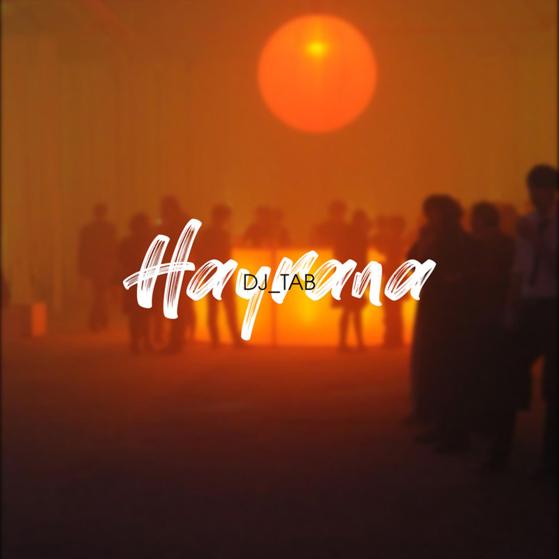 Постер альбома Hayrana