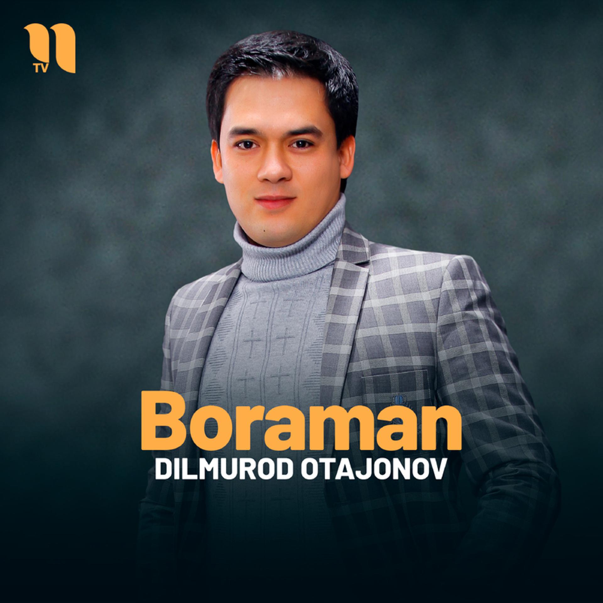 Постер альбома Boraman