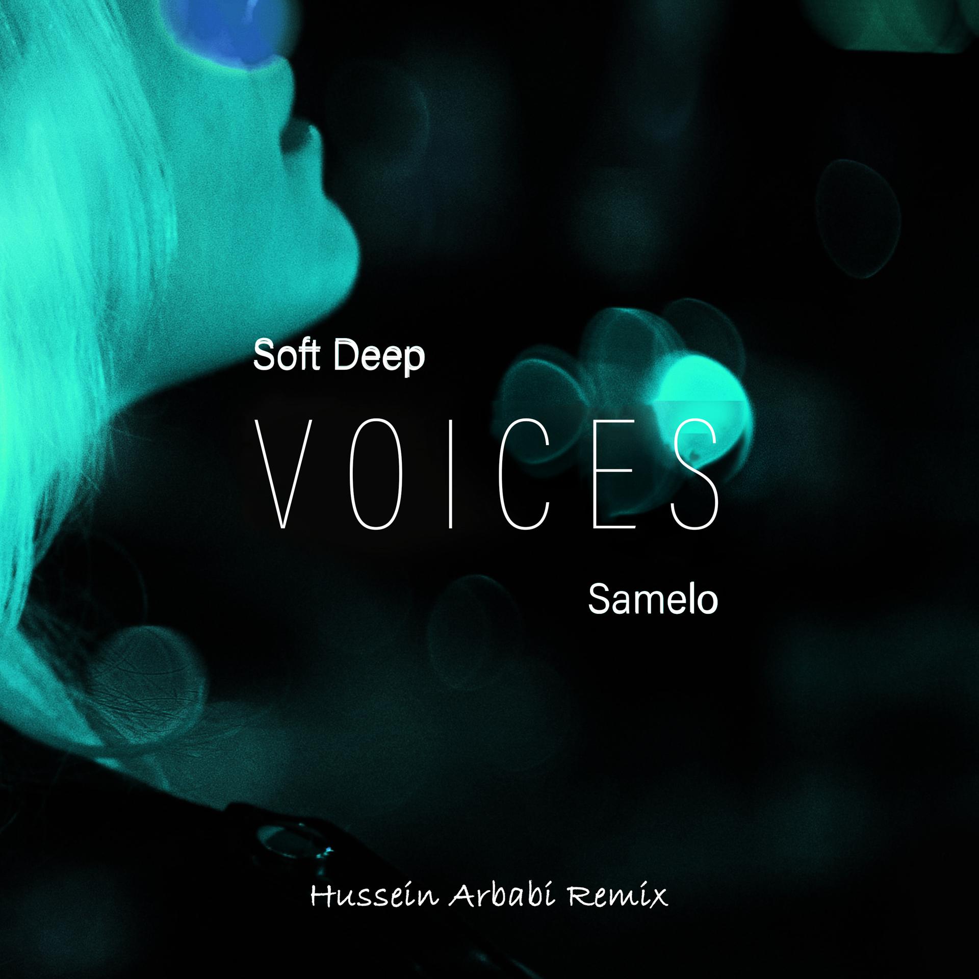 Постер альбома Voices (Hussein Arbabi Remix)