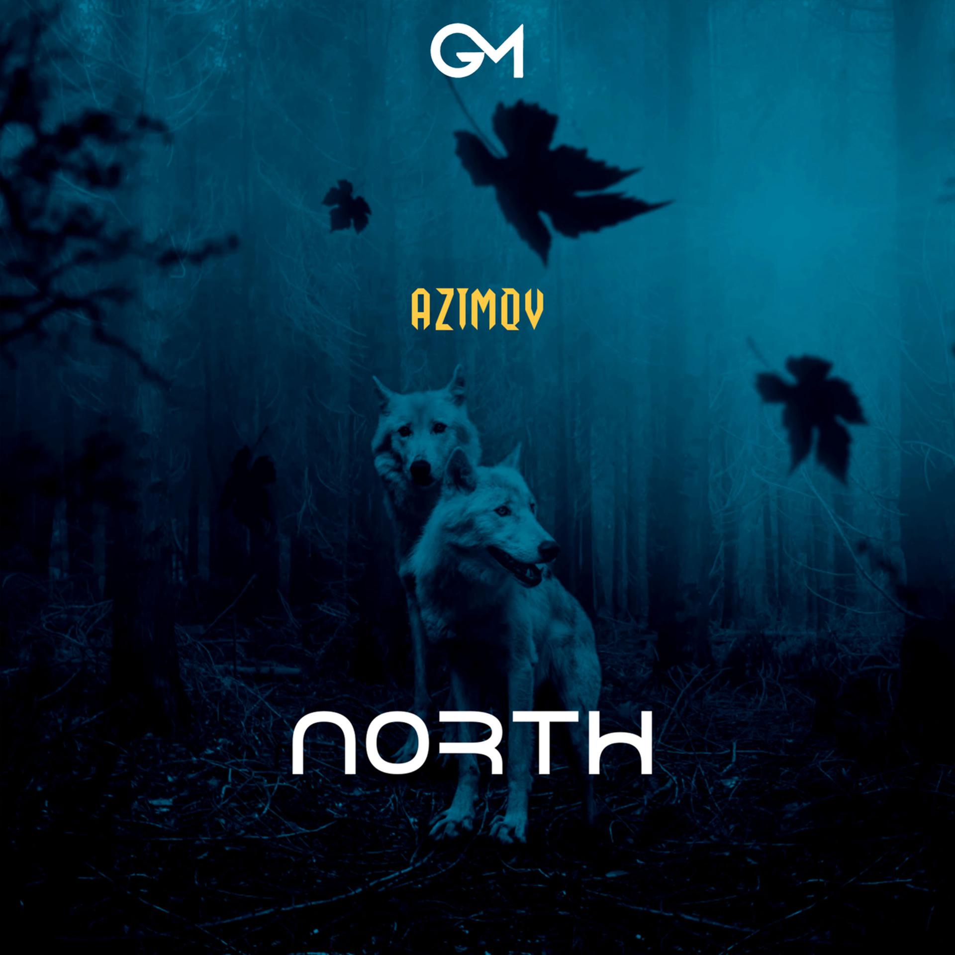 Постер альбома North