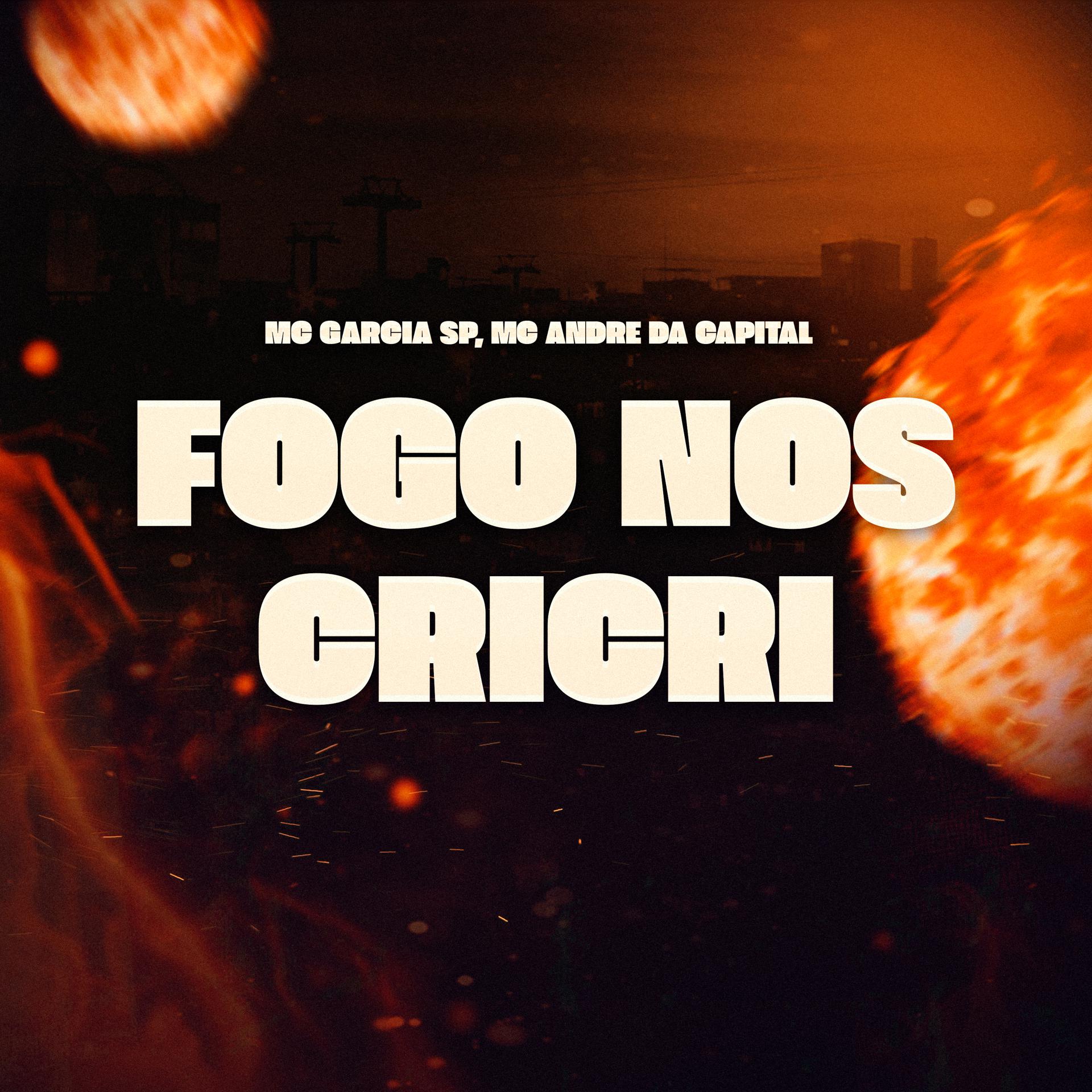 Постер альбома Fogo nos CriCri