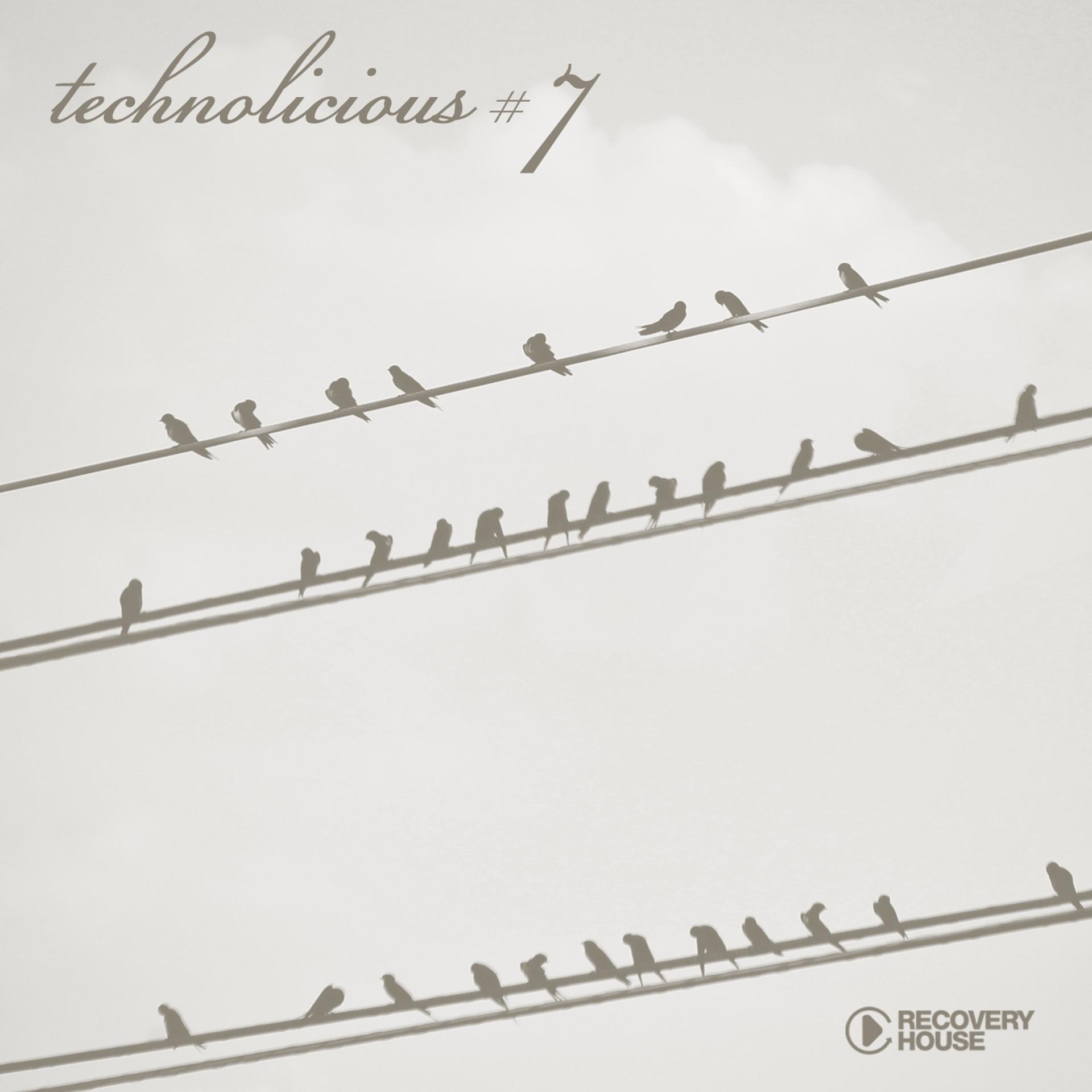 Постер альбома Technolicious #7