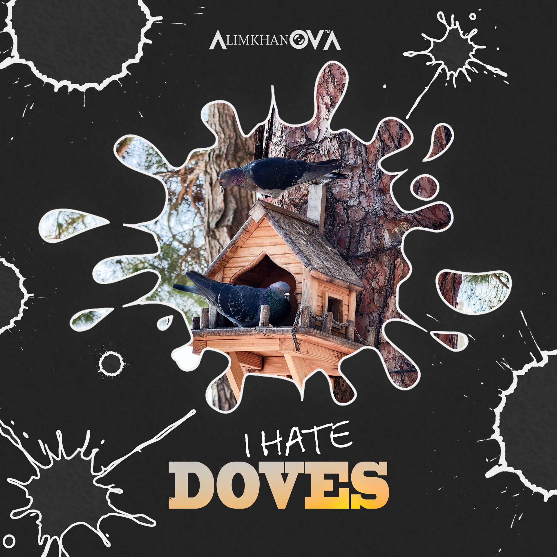 Постер альбома I Hate Doves