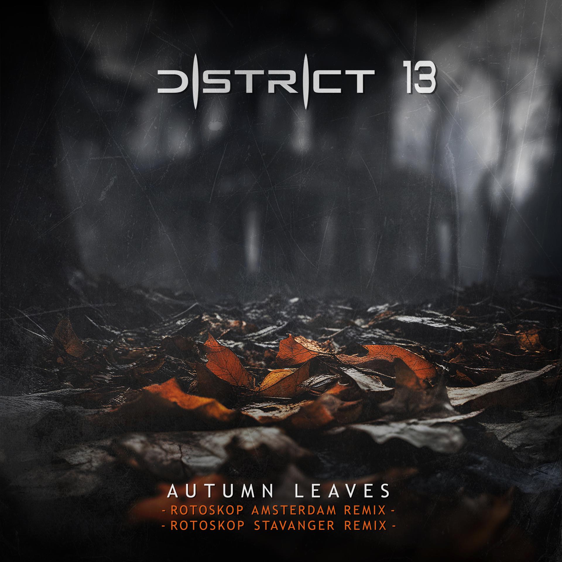 Постер альбома Autumn Leaves (The Rotoskop Remixes)