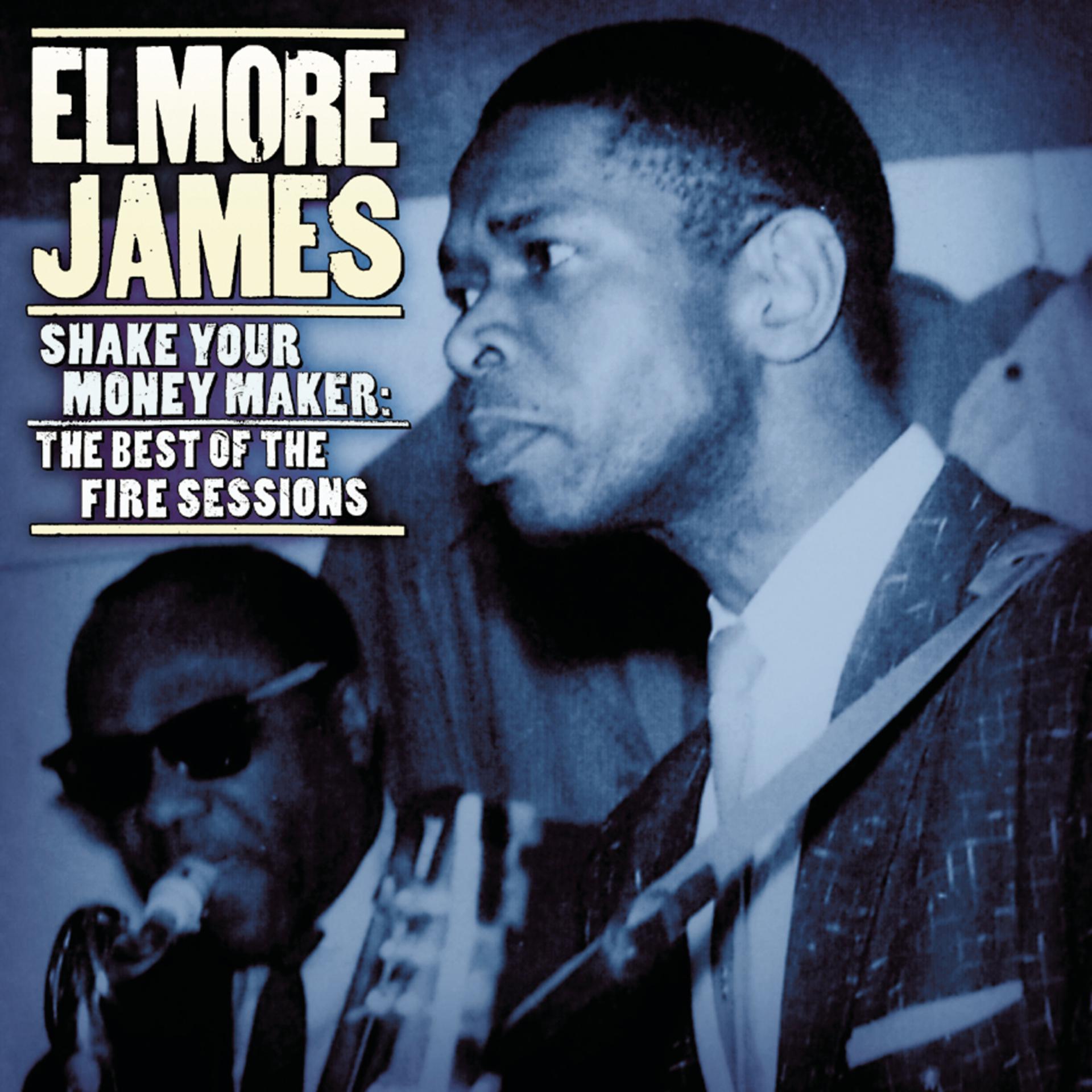 Постер альбома Shake Your Money Maker: The Best Of The Fire Sessions