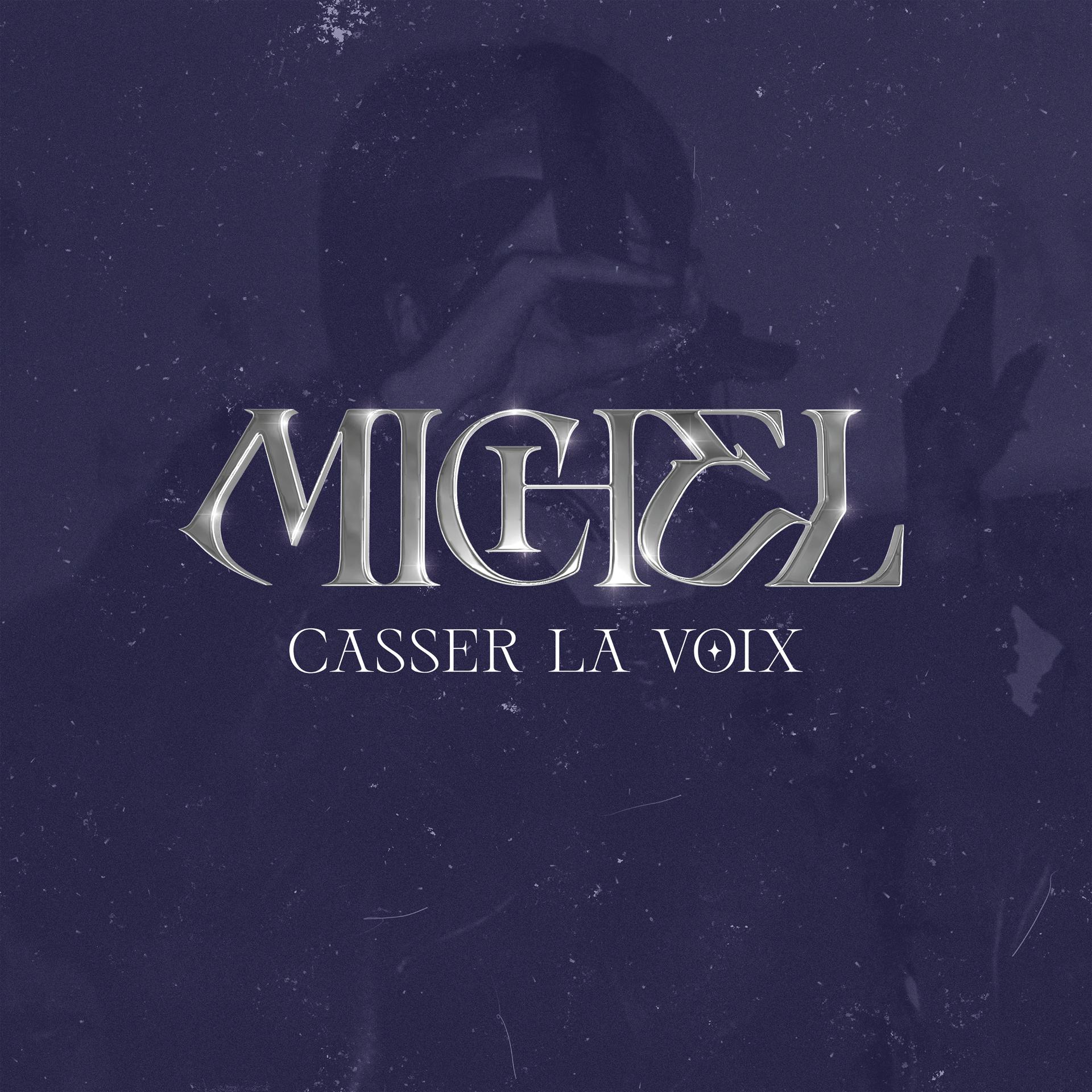 Постер альбома Casser la voix