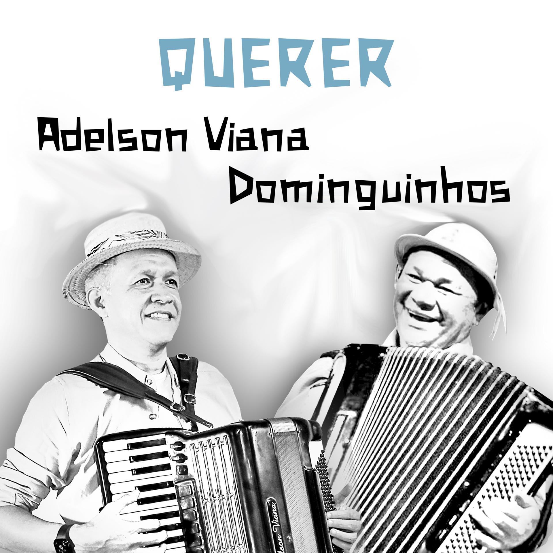 Постер альбома Querer