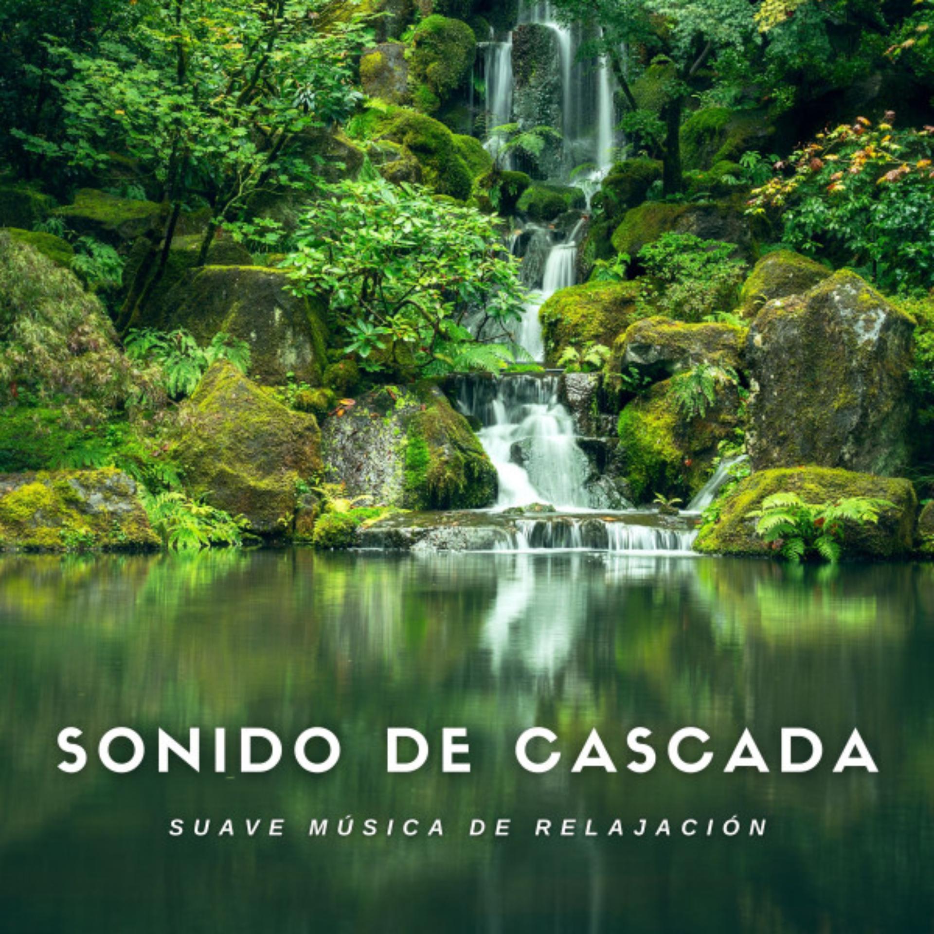 Постер альбома Sonido de Cascada Suave Musica de Relajacion