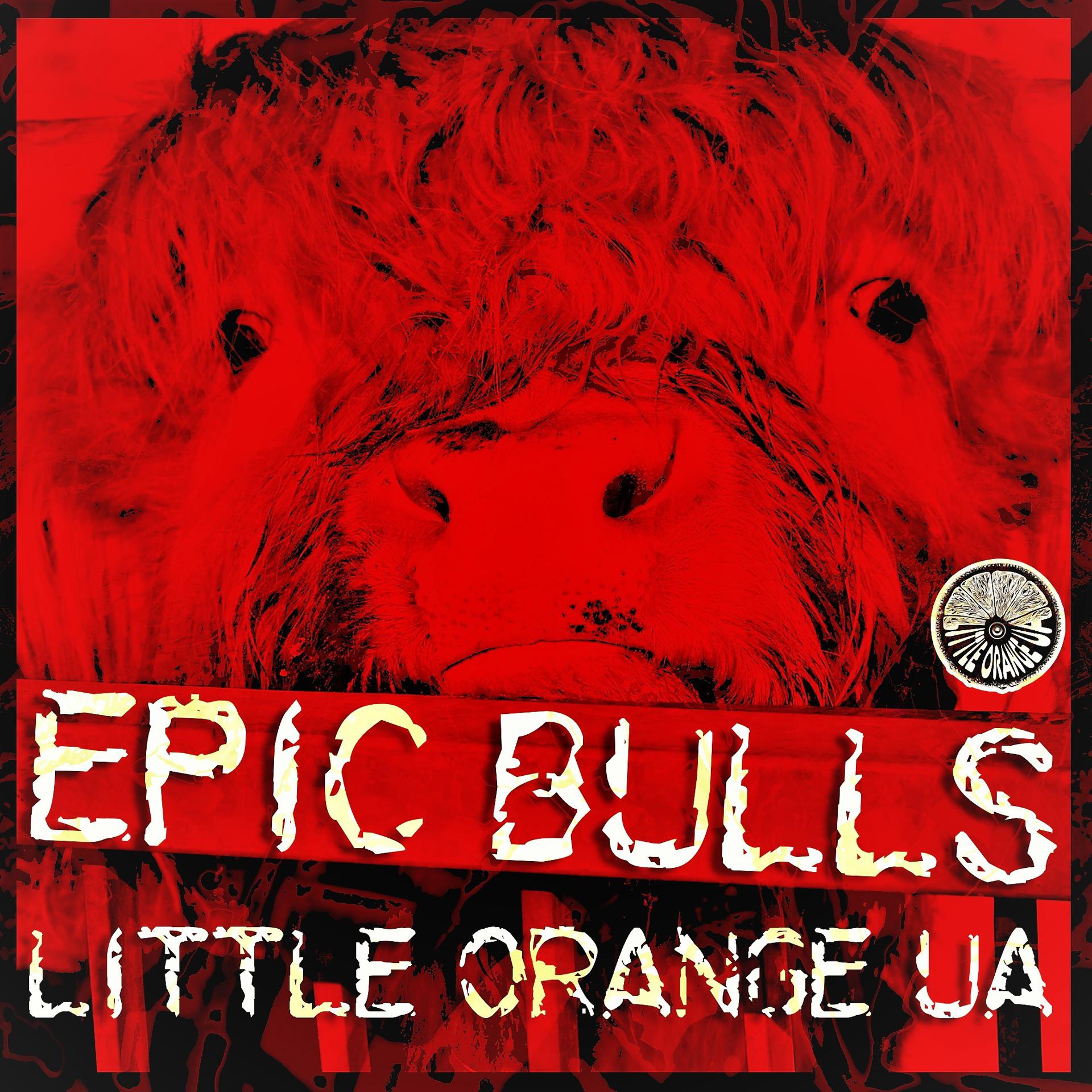 Постер альбома Epic Bulls