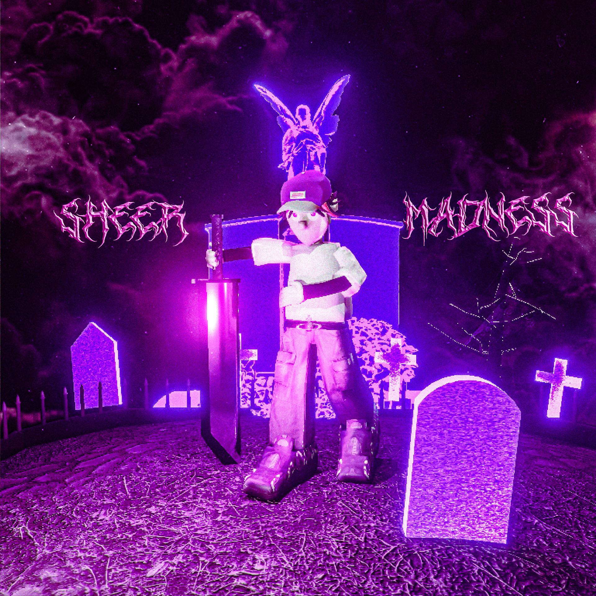 Постер альбома SHEER MADNESS