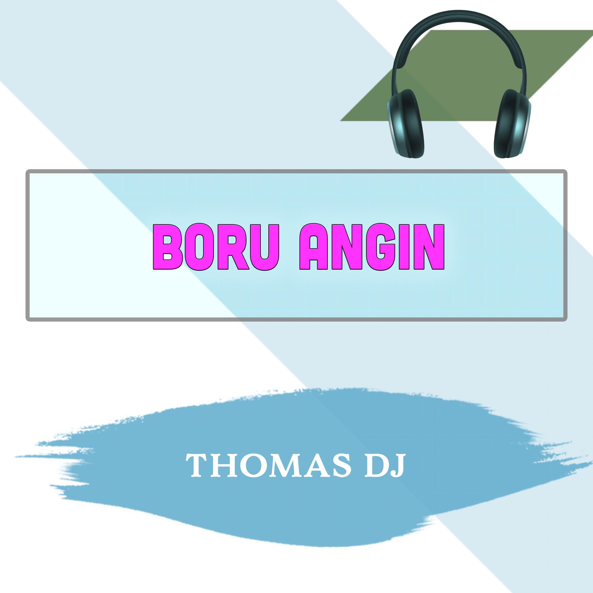Постер альбома Boru Angin