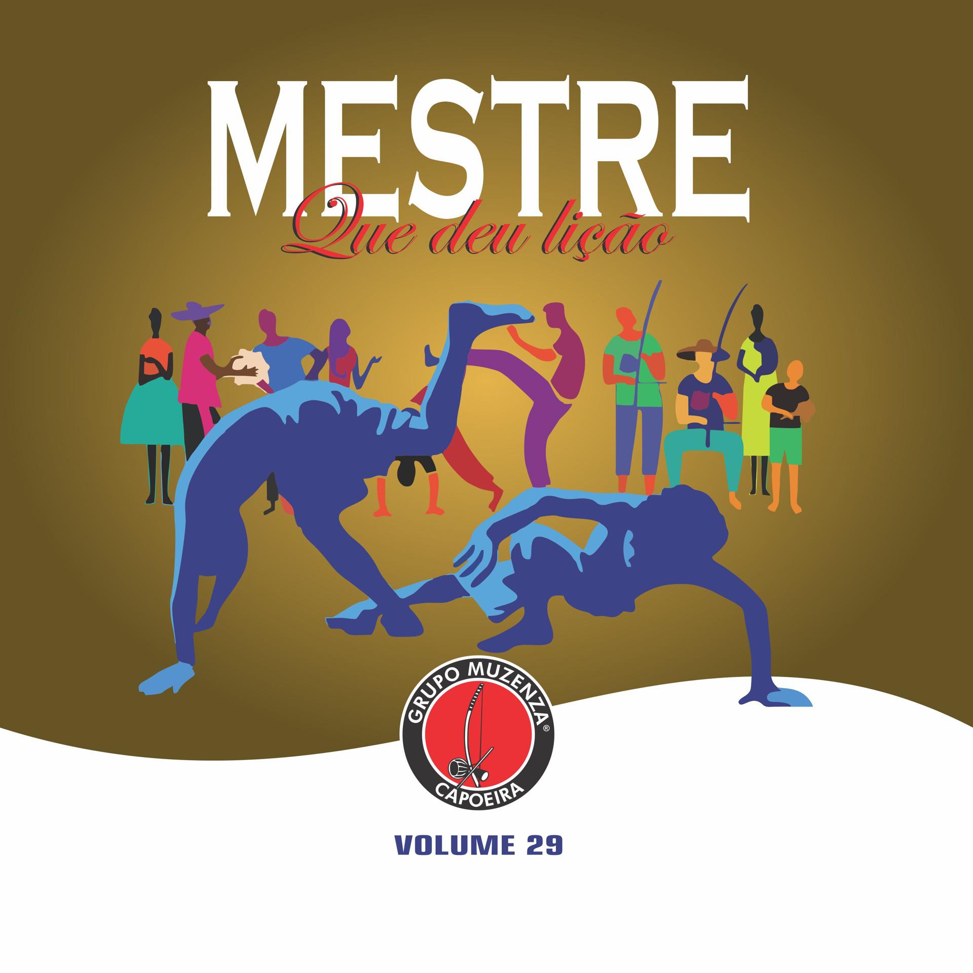 Постер альбома Mestre Que Deu Lição, Vol. 29