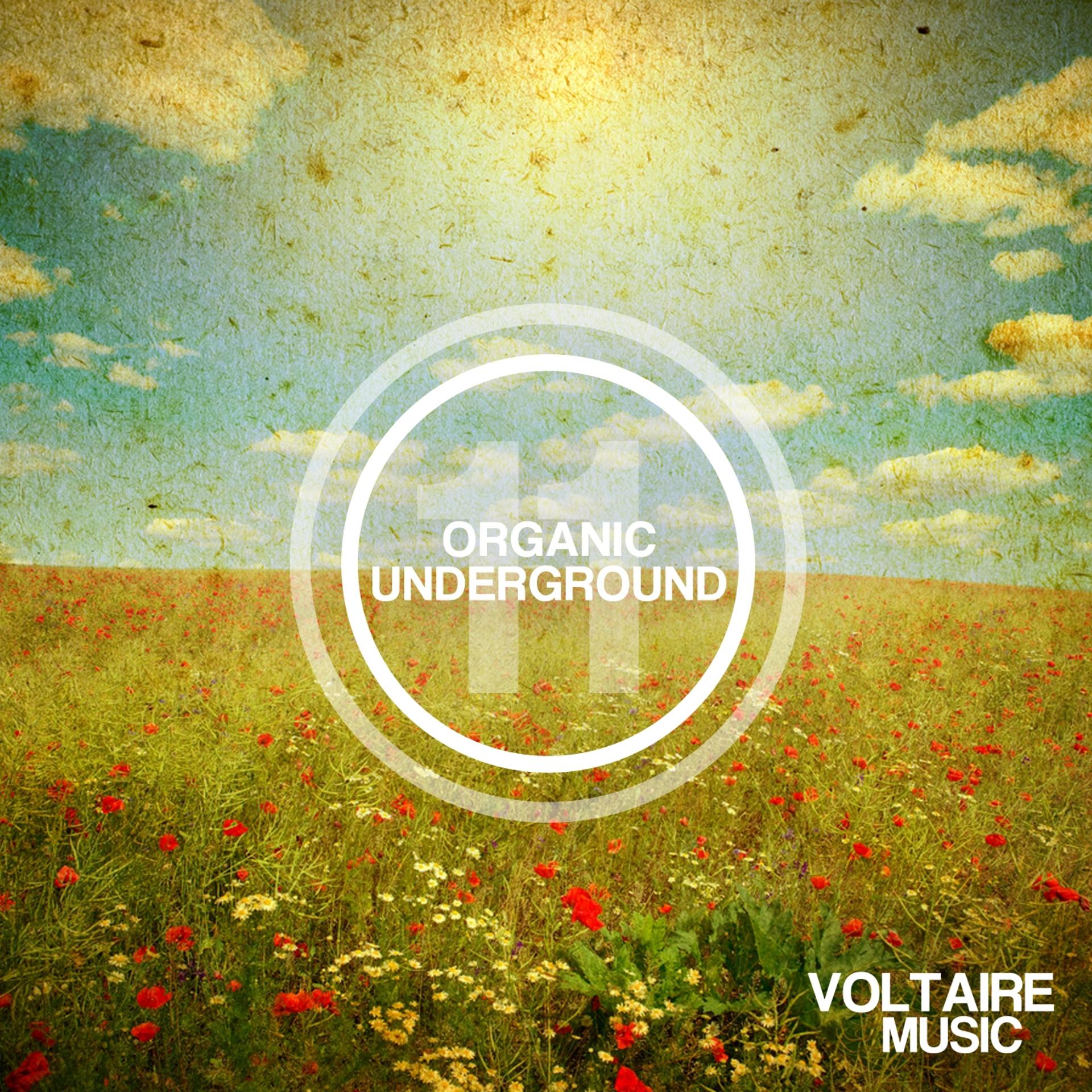 Постер альбома Organic Underground Issue 11