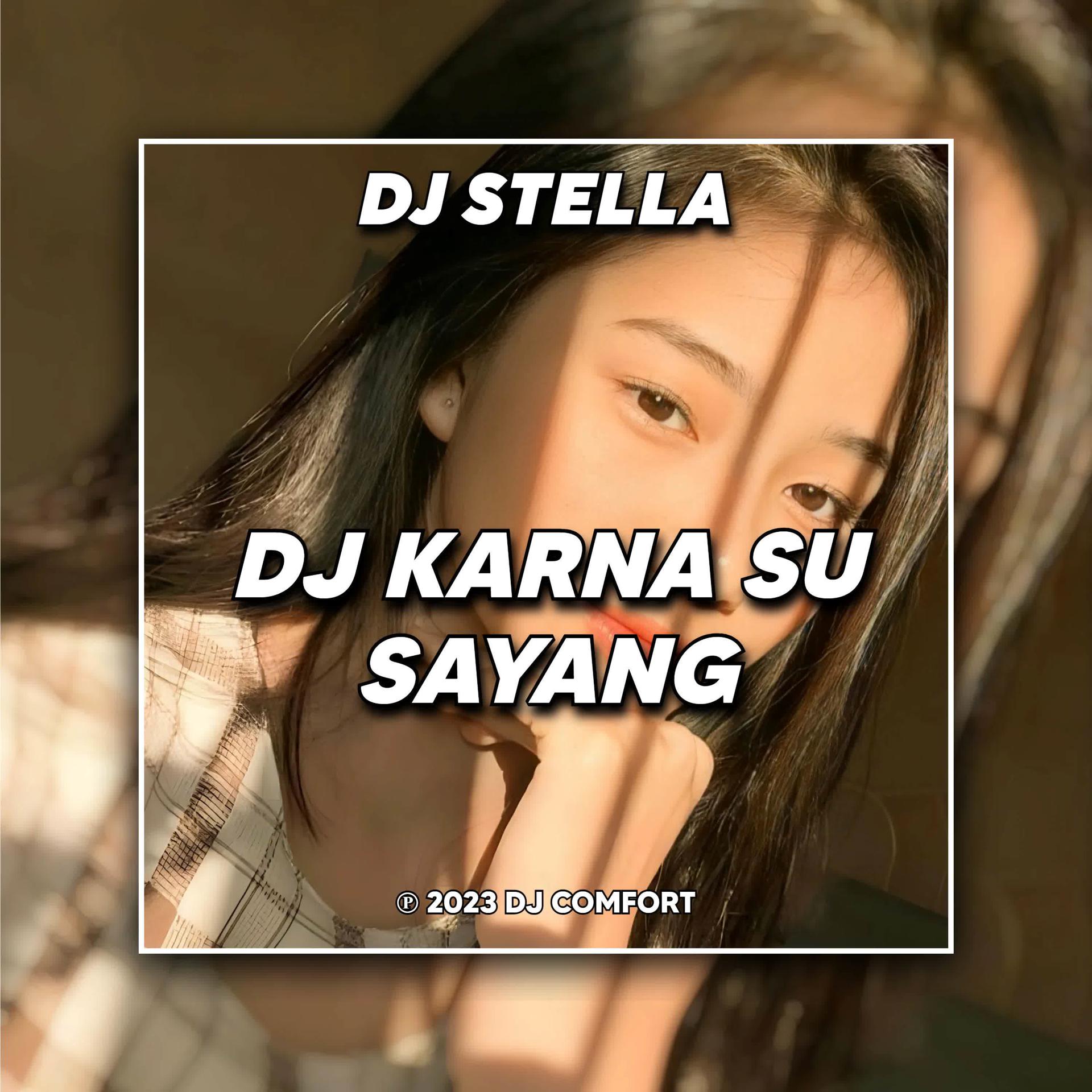 Постер альбома DJ Karna Su Sayang