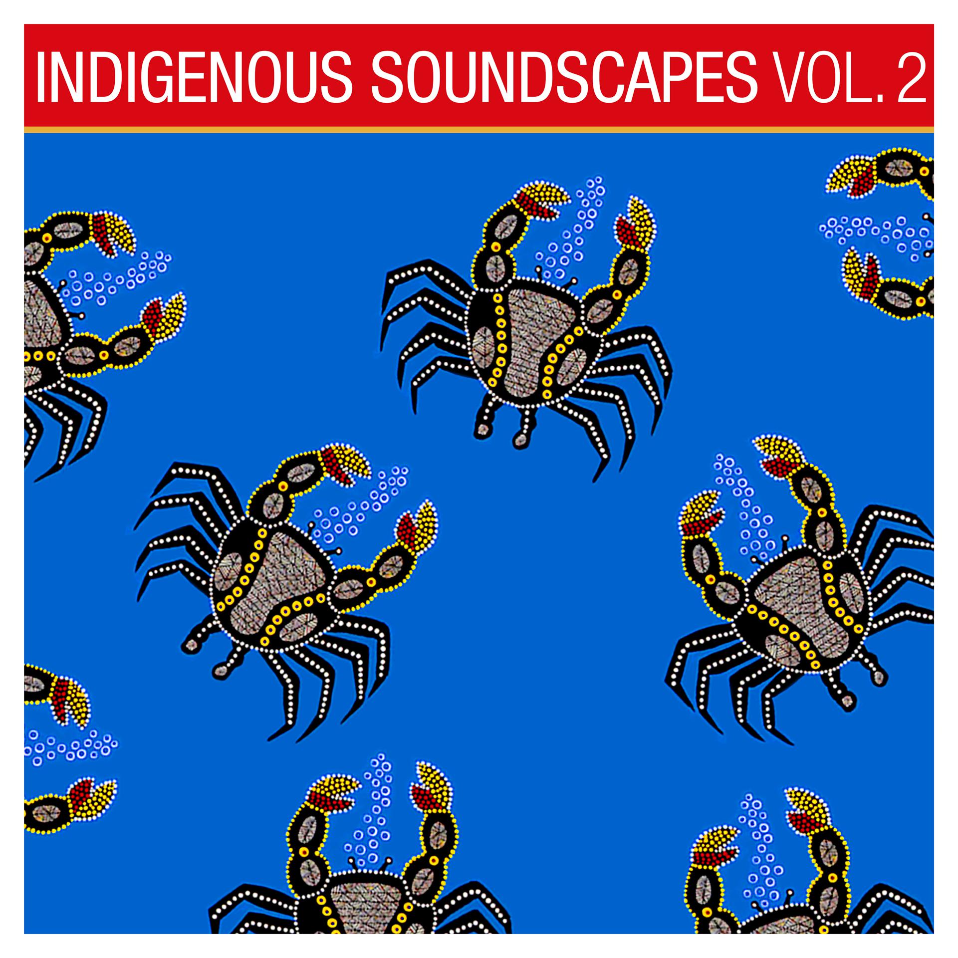 Постер альбома Indigenous Soundscapes, Vol. 2
