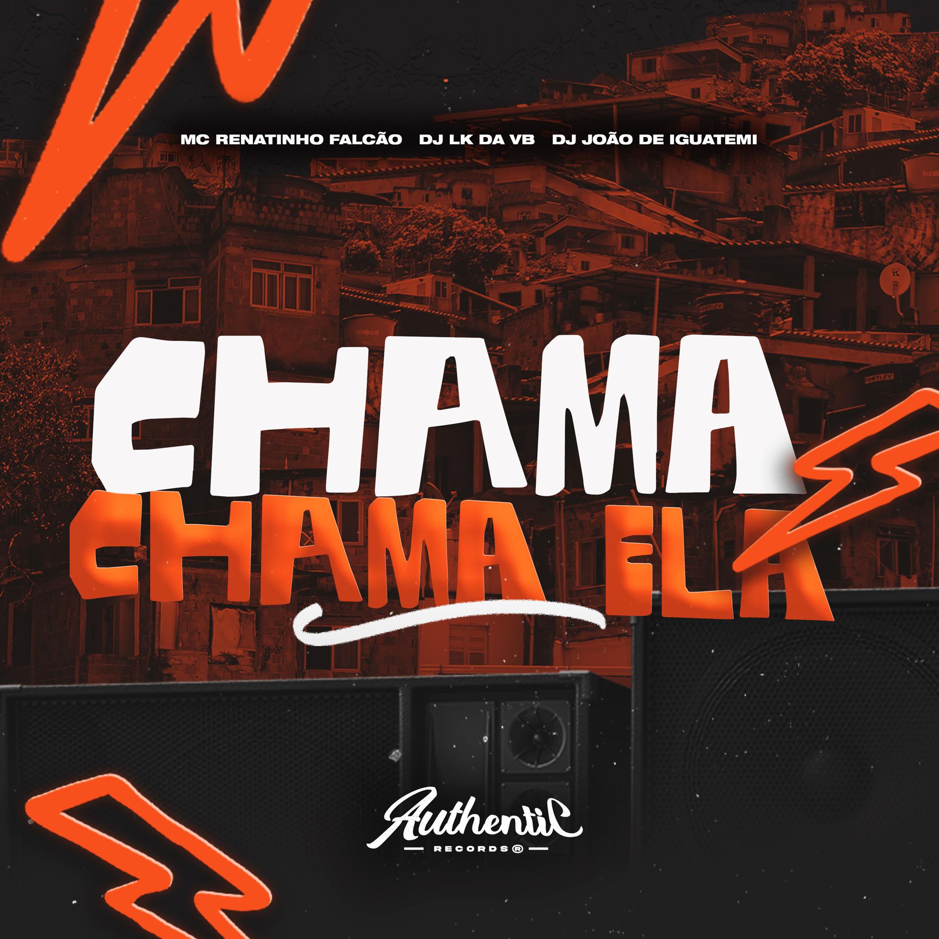Постер альбома Chama Chama Ela