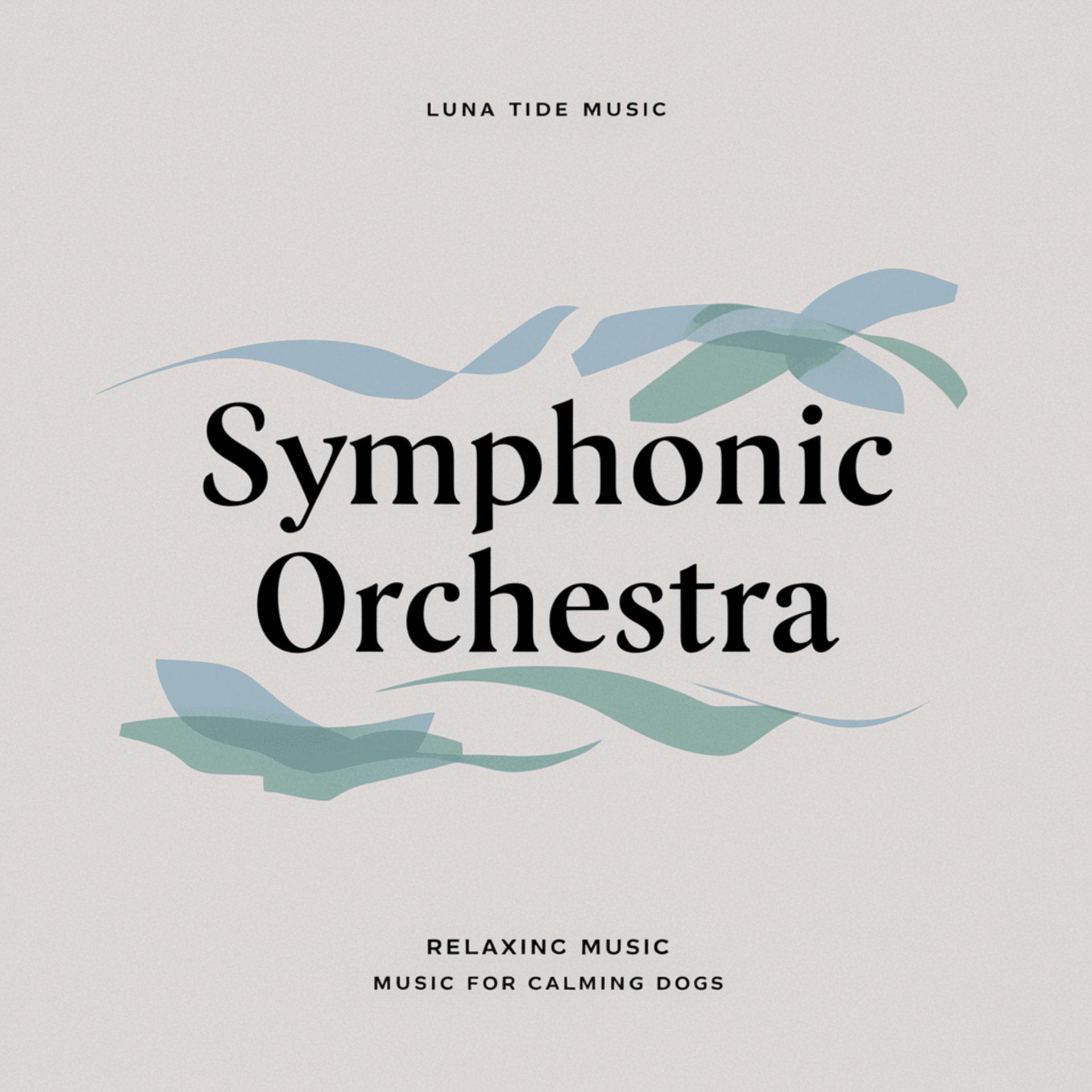 Постер альбома Symphonic Orchestra