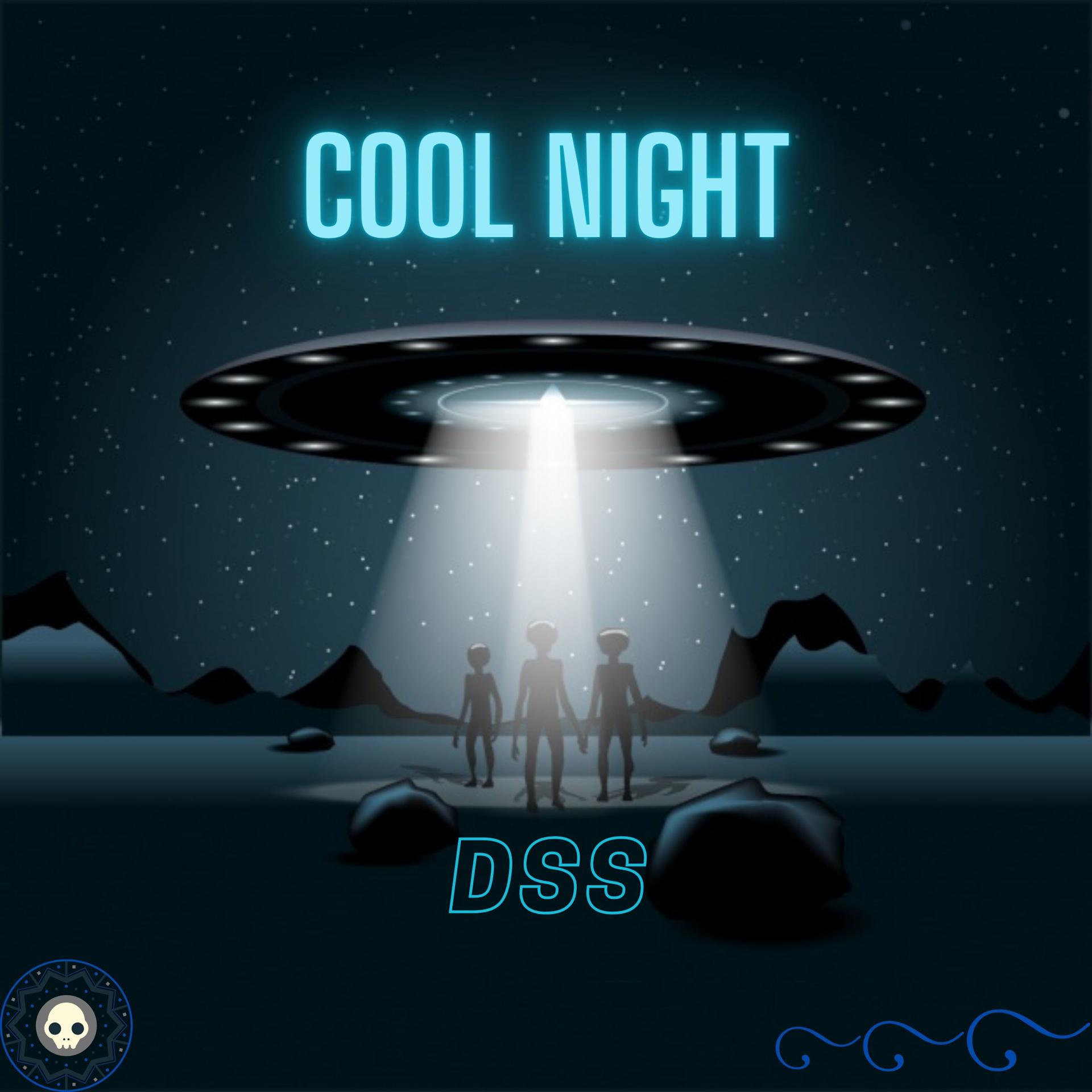 Постер альбома Cool Night