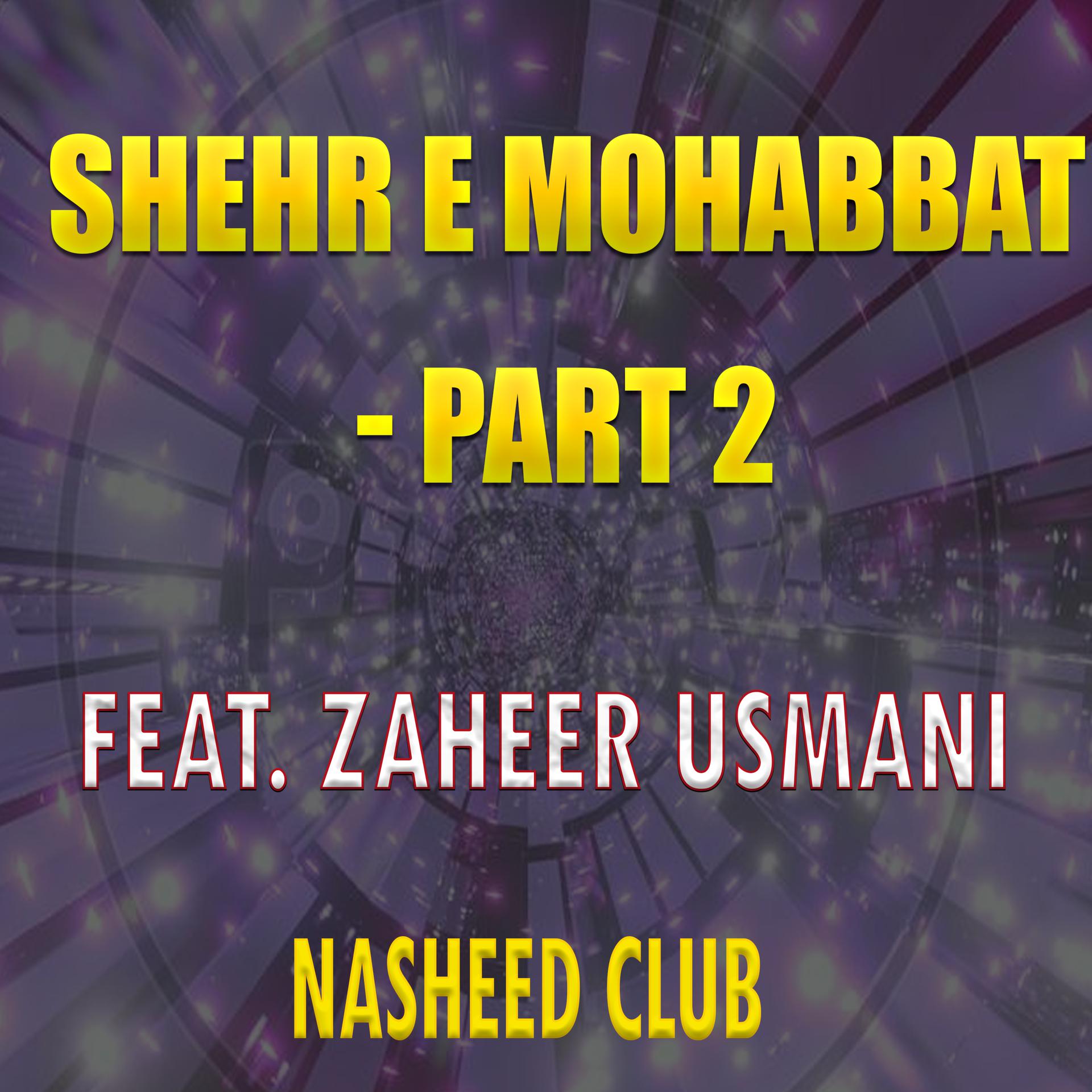 Постер альбома Shehr E Mohabbat - , Pt. 2