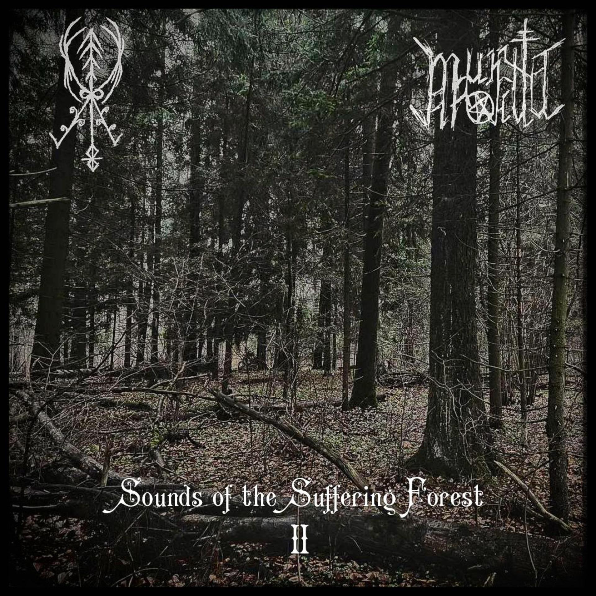 Постер альбома Sounds of the Suffering Forest II