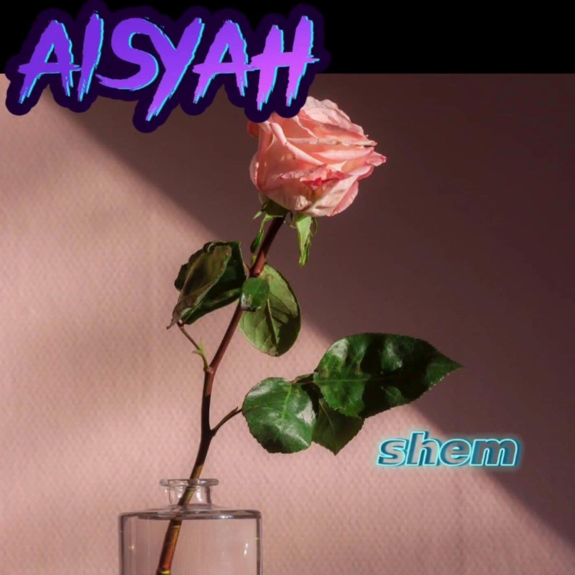 Постер альбома dj - AISYAH 2