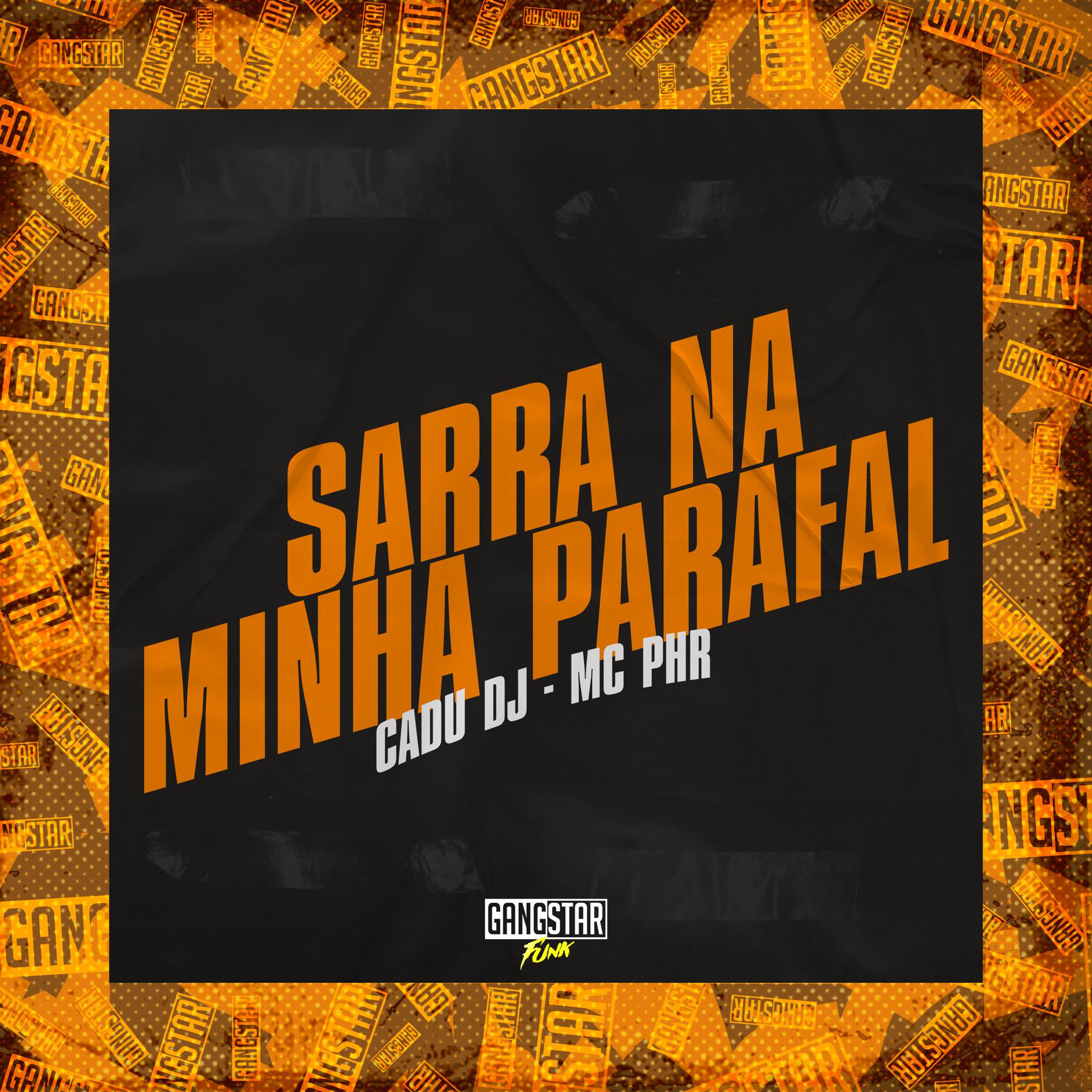 Постер альбома Sarra na Minha Parafal