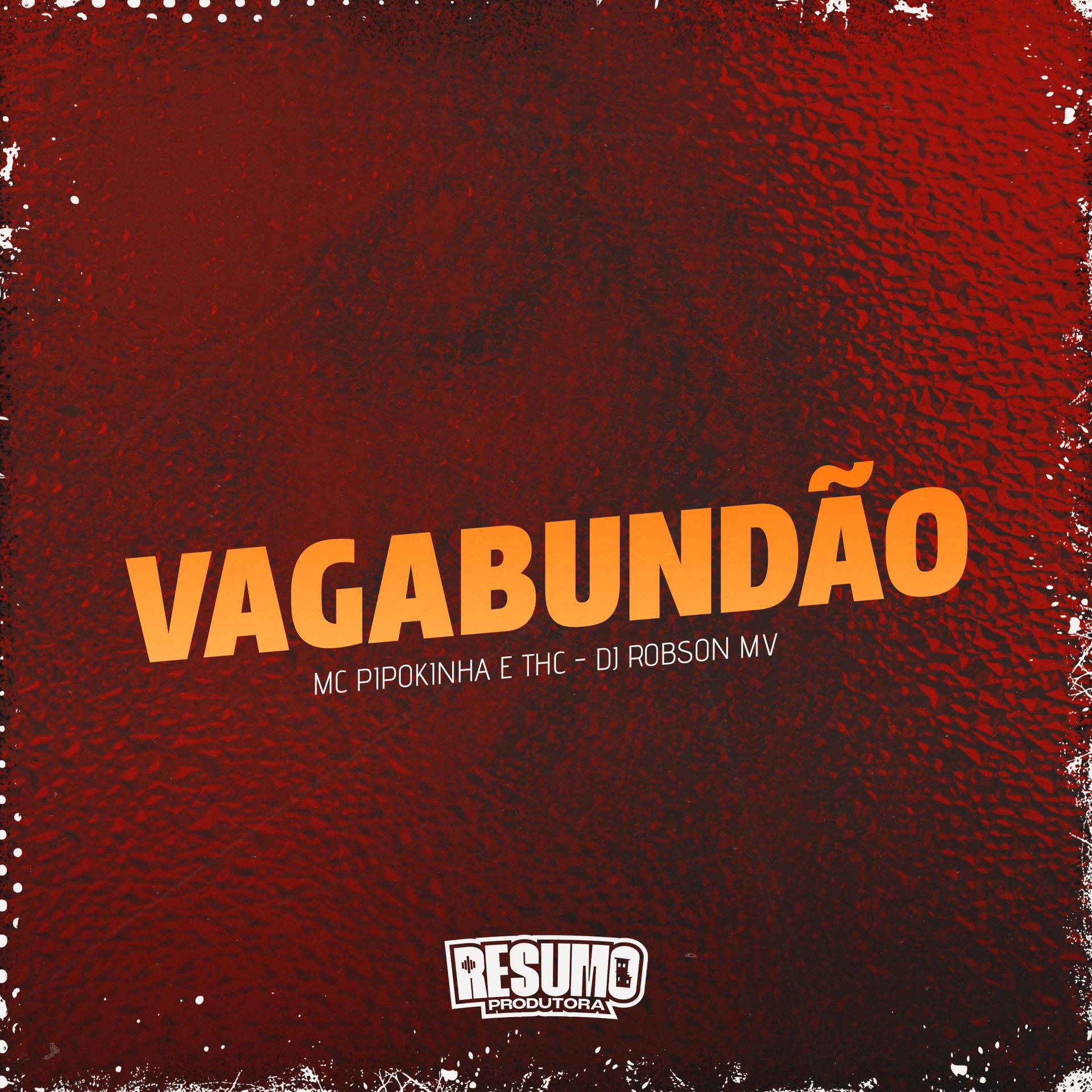 Постер альбома Vagabundão