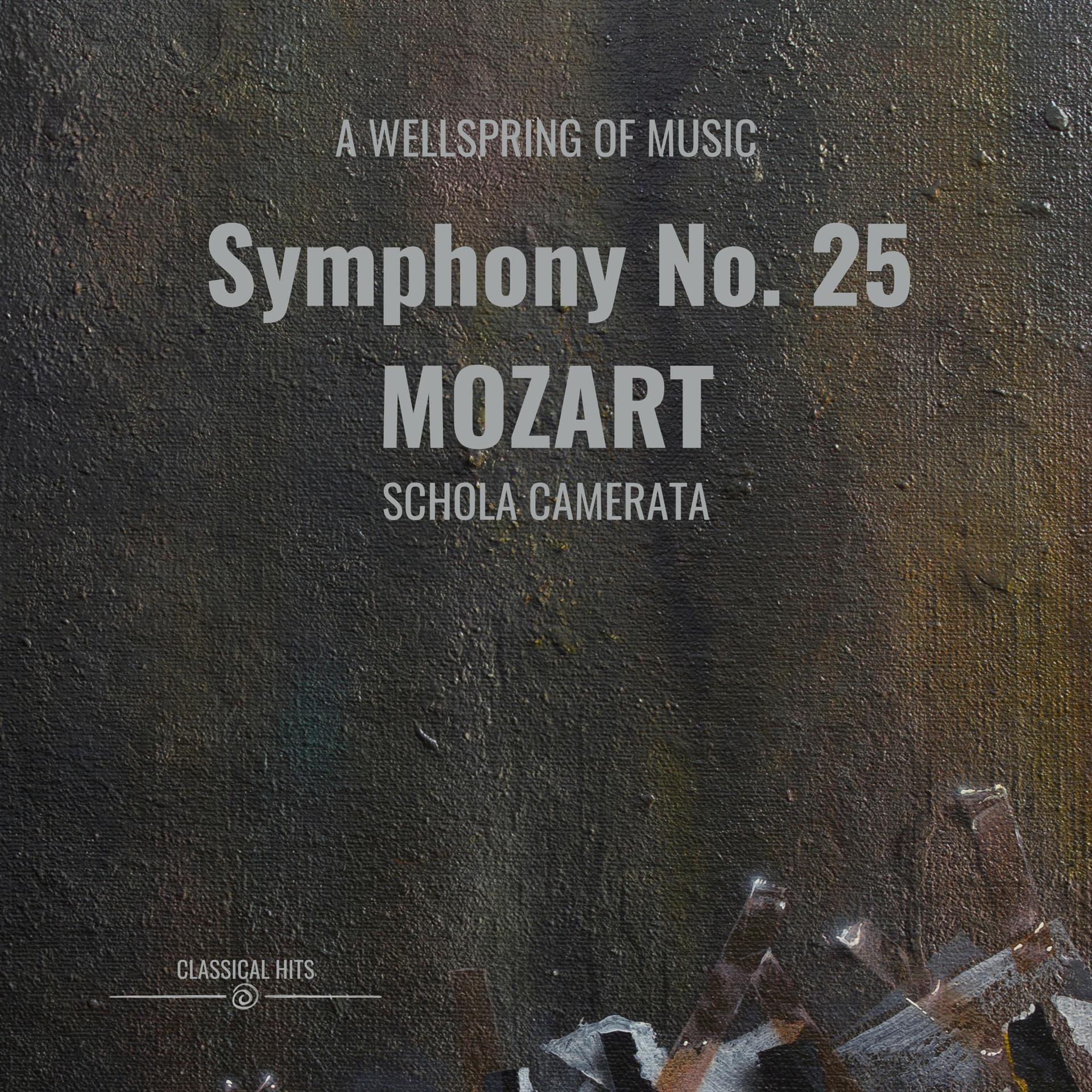 Постер альбома A Wellspring Of Music -  Symphony No. 25