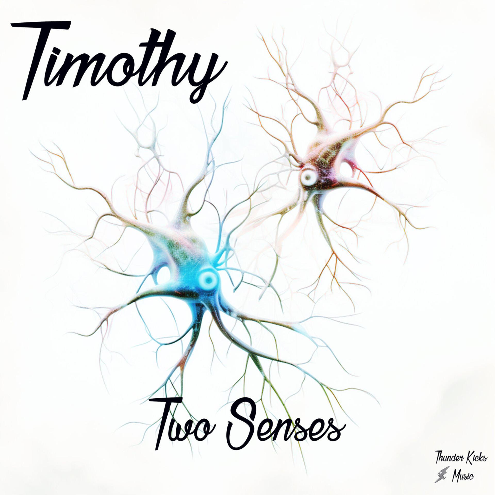 Постер альбома Two Senses