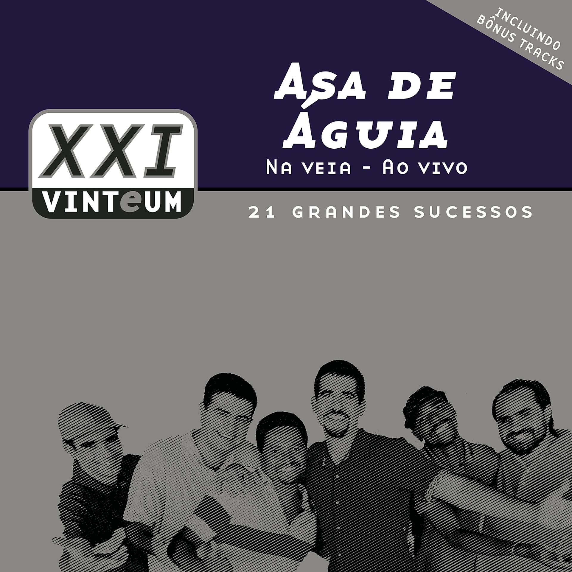 Постер альбома Na Veia Ao Vivo - 21 Grandes Sucessos
